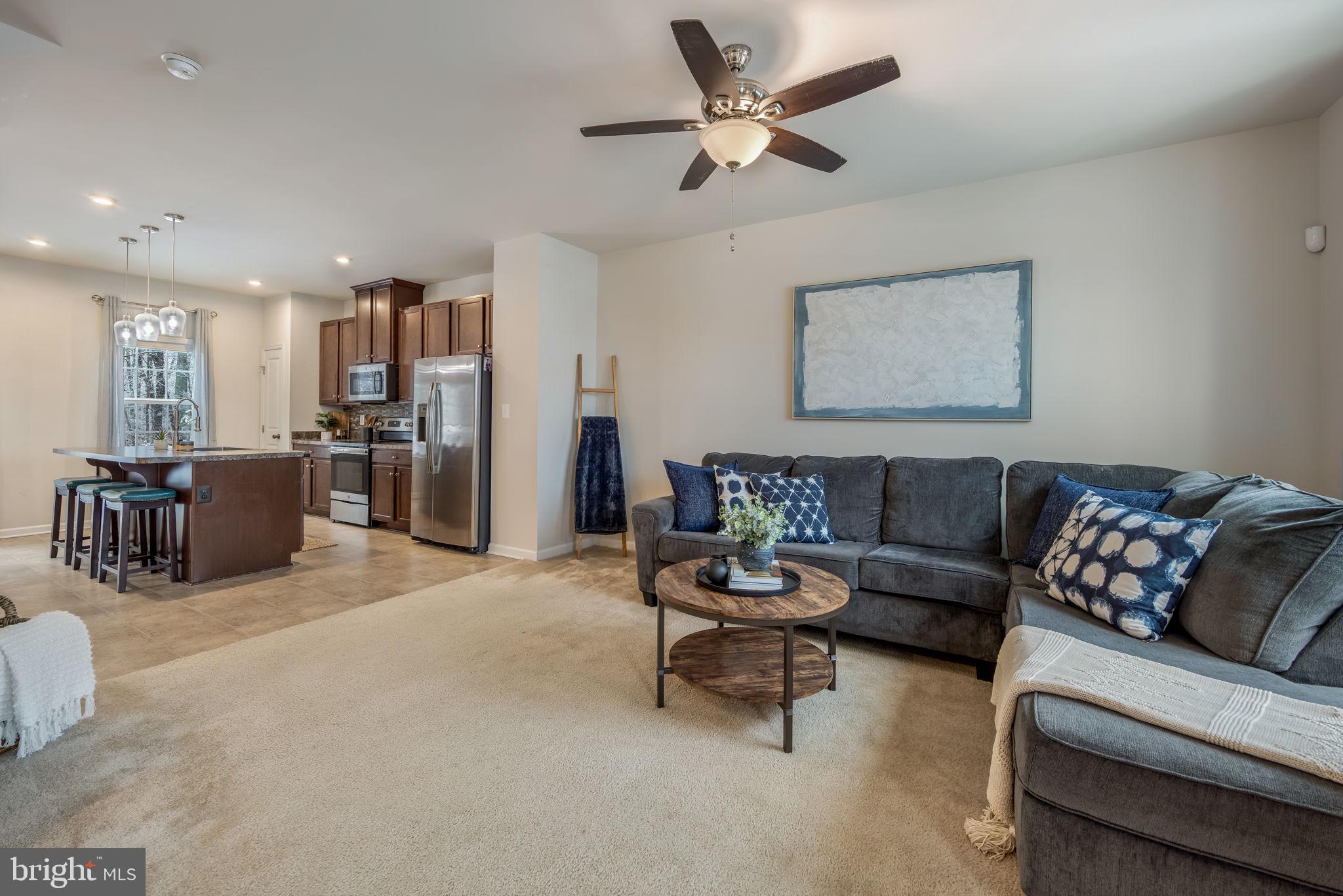 THE VILLAGE AT COURTHOUSE COMMONS - Residential