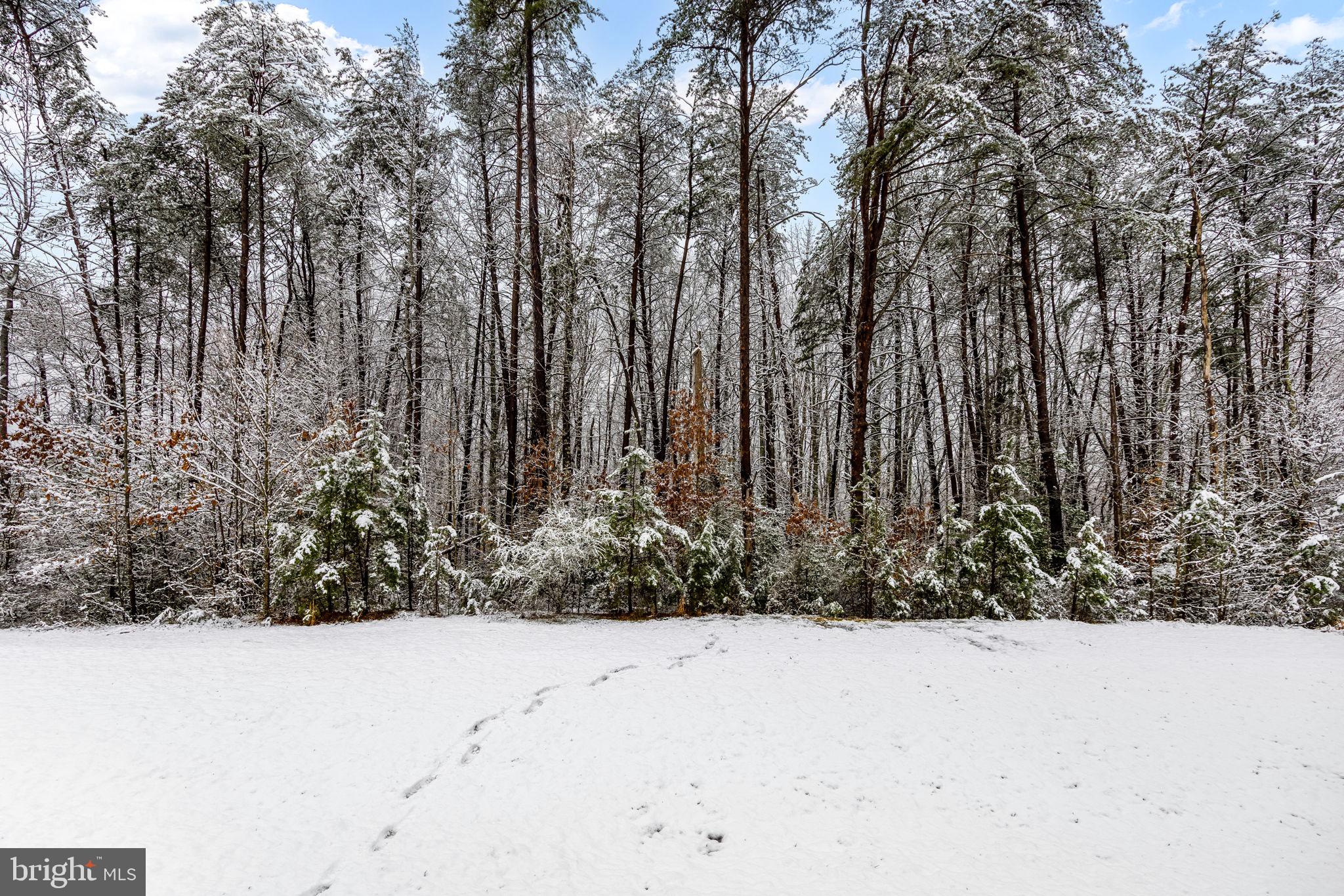 THE VILLAGE AT COURTHOUSE COMMONS - Residential