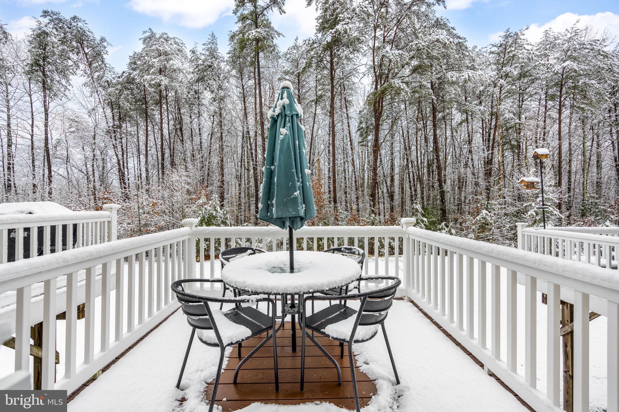 THE VILLAGE AT COURTHOUSE COMMONS - Residential