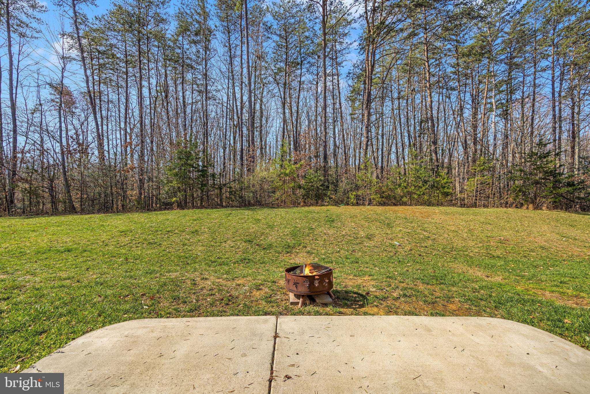THE VILLAGE AT COURTHOUSE COMMONS - Residential