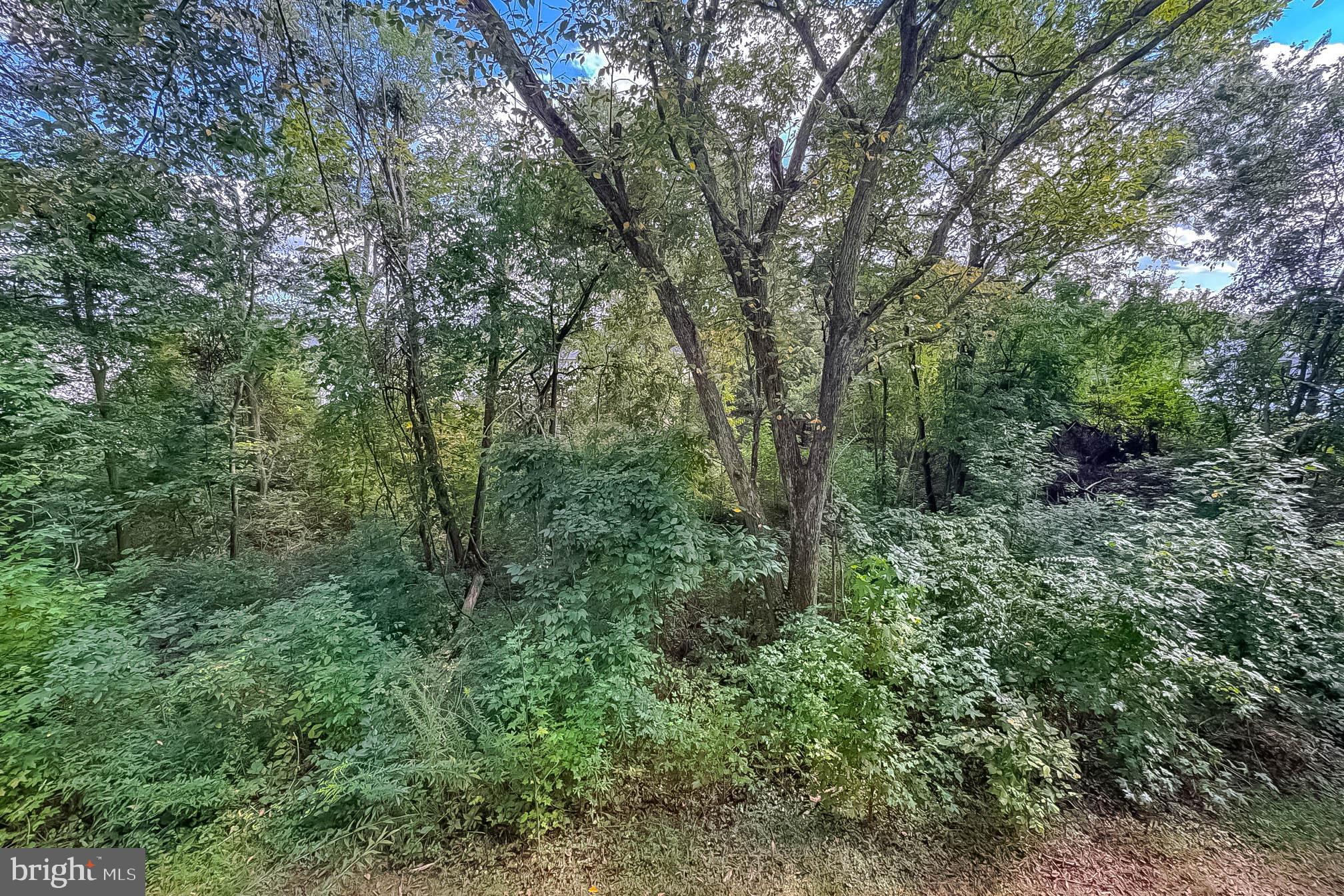 OWEN BROWN ESTATES - Residential