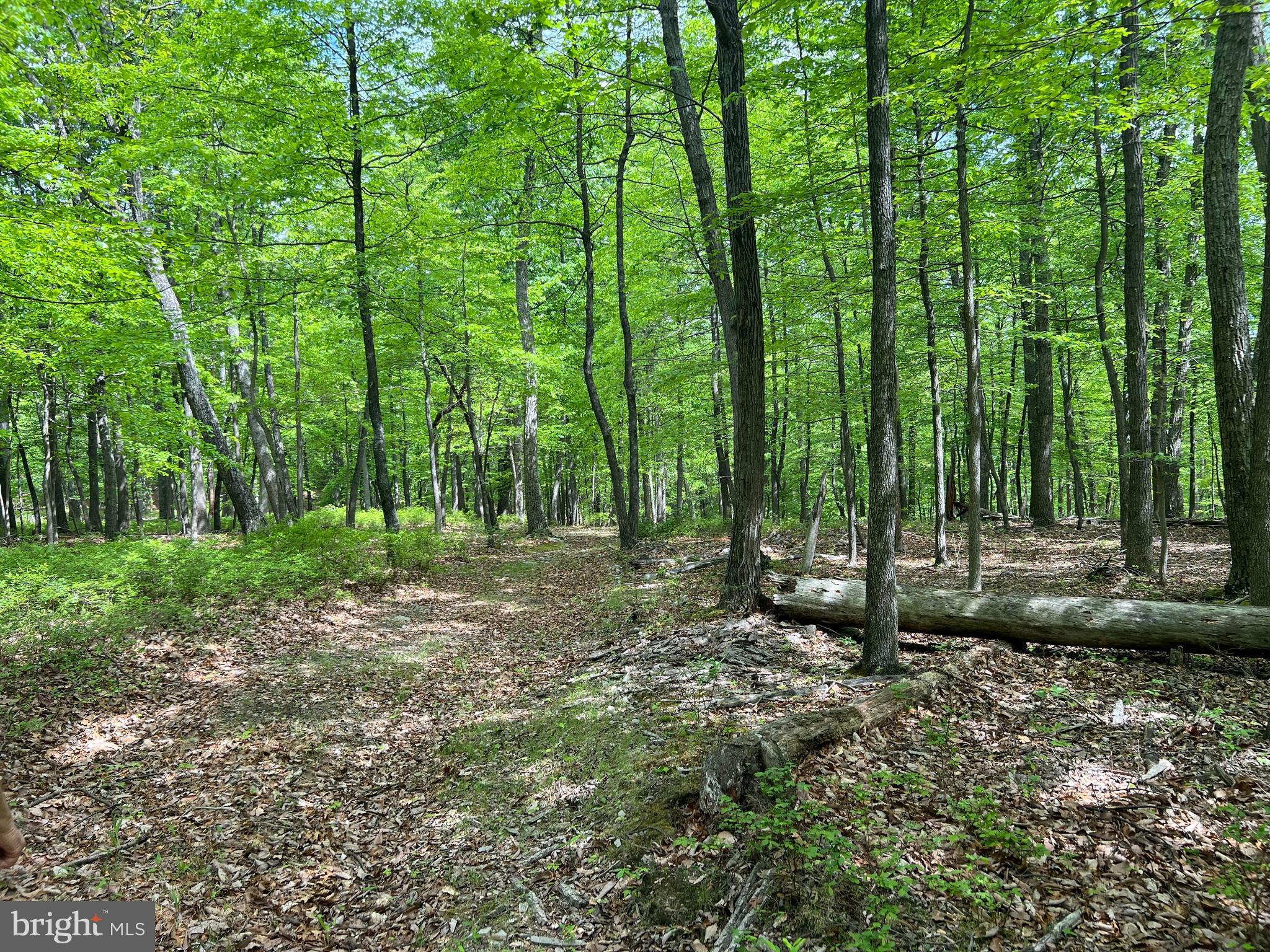 RANCH VIEW ESTATES - Land