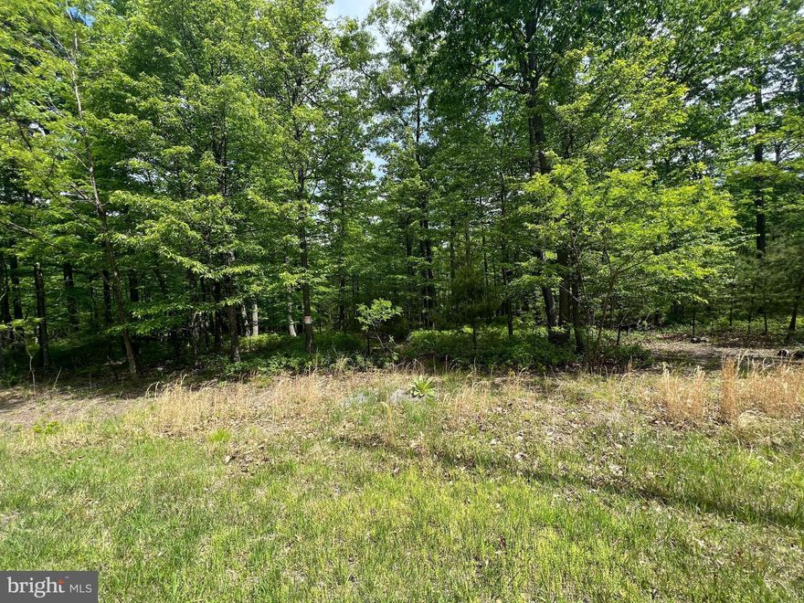 Secluded but not remote; beautiful 4.5 acre lot off a state maintained road.  Abundant wildlife and greenery.  The lot has utilities on site.  Come build your dream home in Wild and Wonderful WV.  Just a short drive to Winchester.