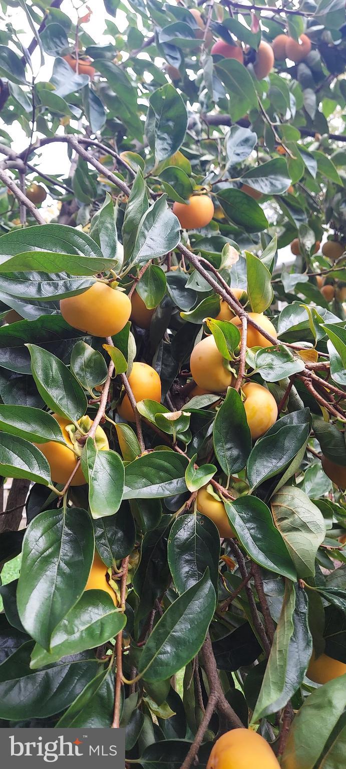 REISTERSTOWN - Residential