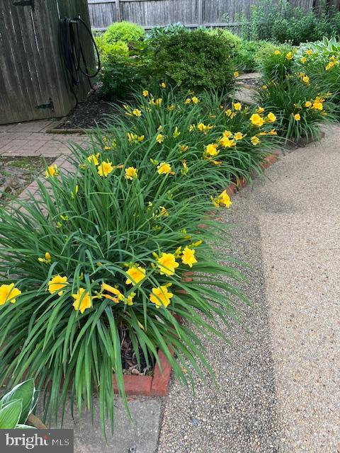 FOX HILLS WEST - Residential