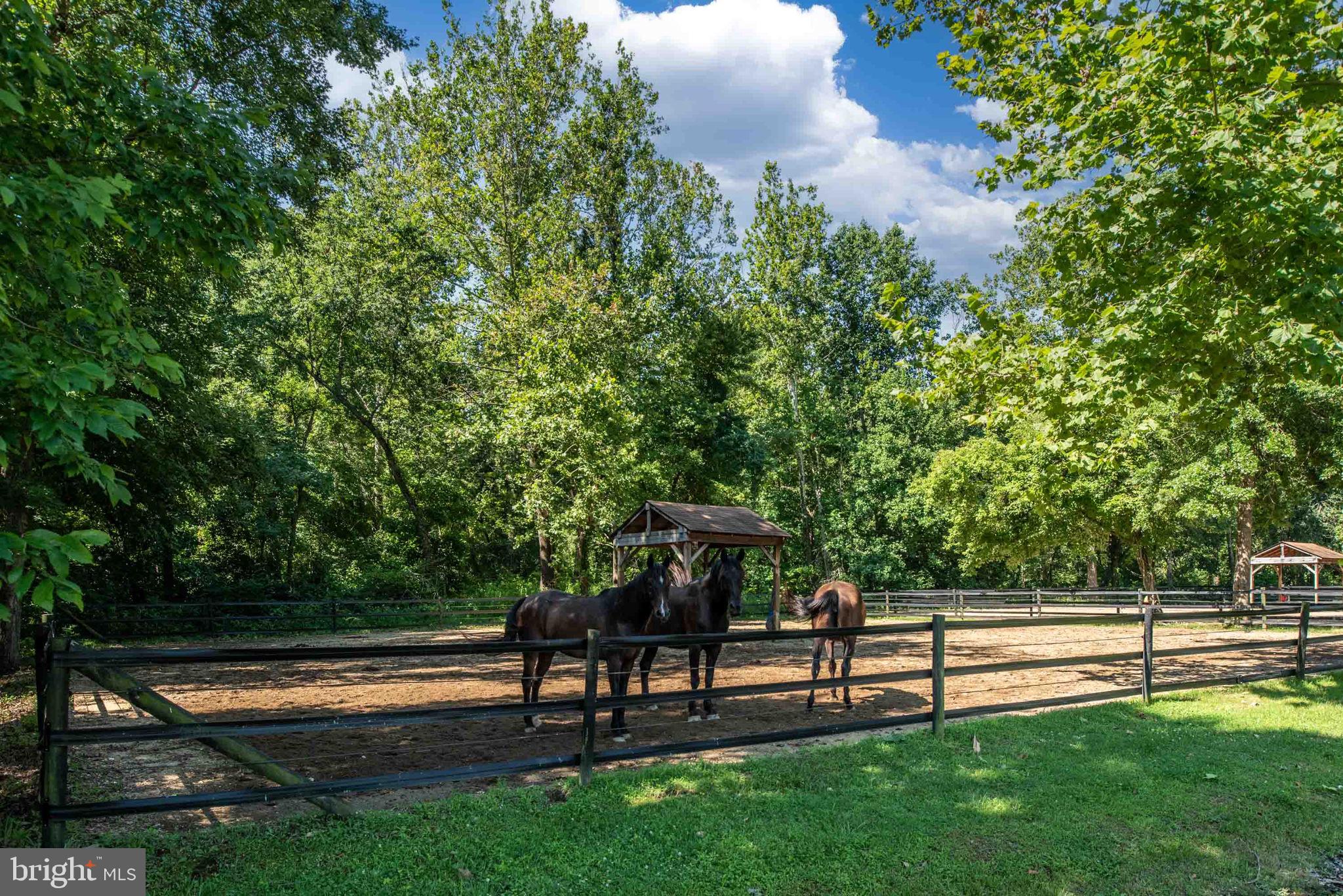 AQUIA HARBOUR - Residential