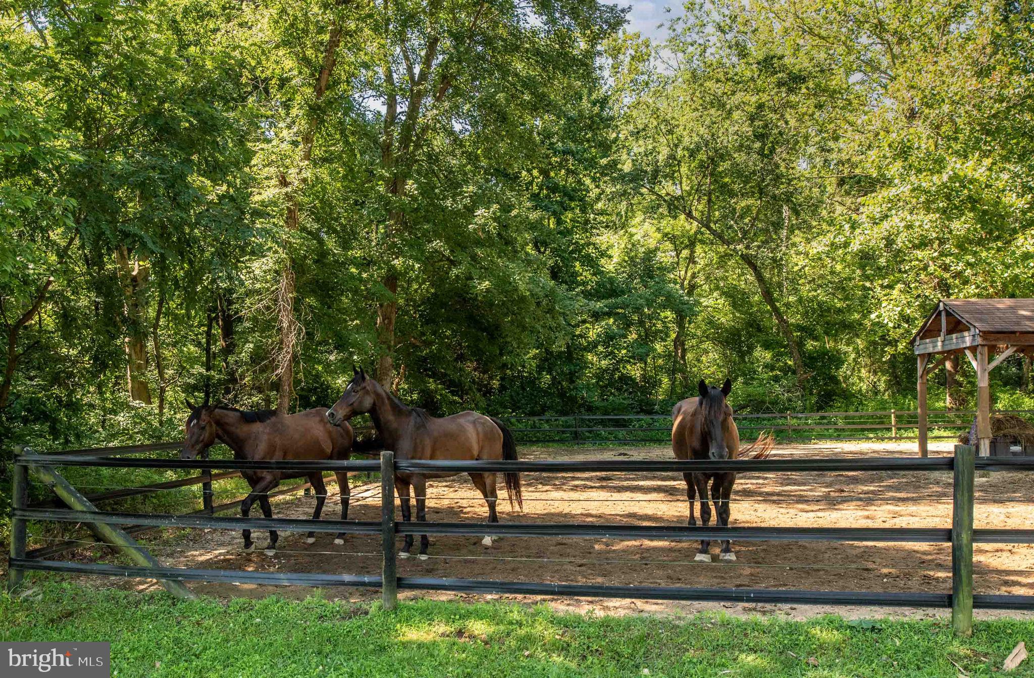 AQUIA HARBOUR - Residential