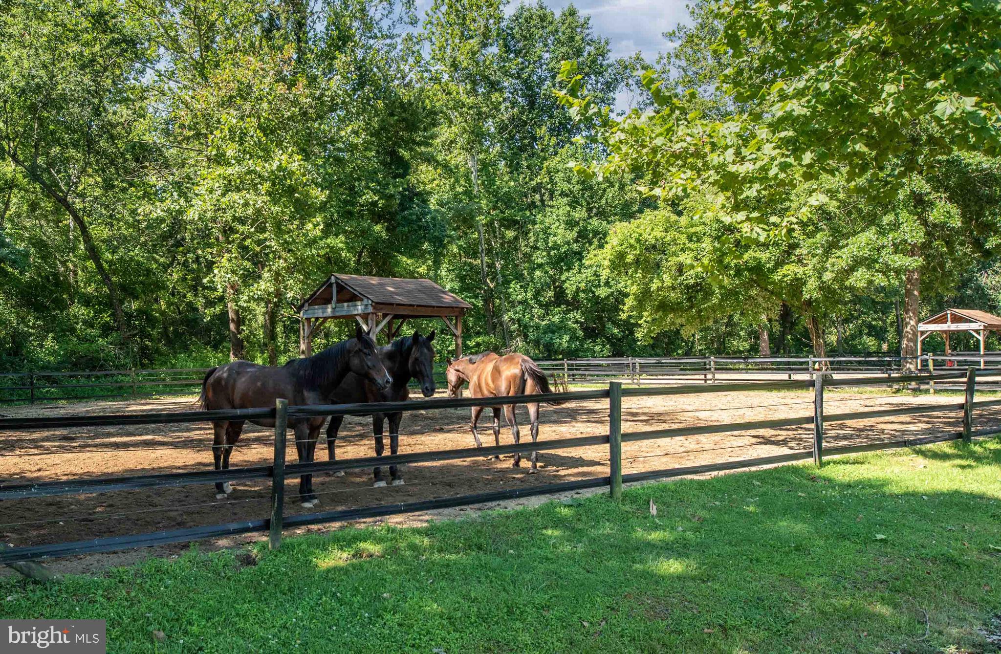 AQUIA HARBOUR - Residential