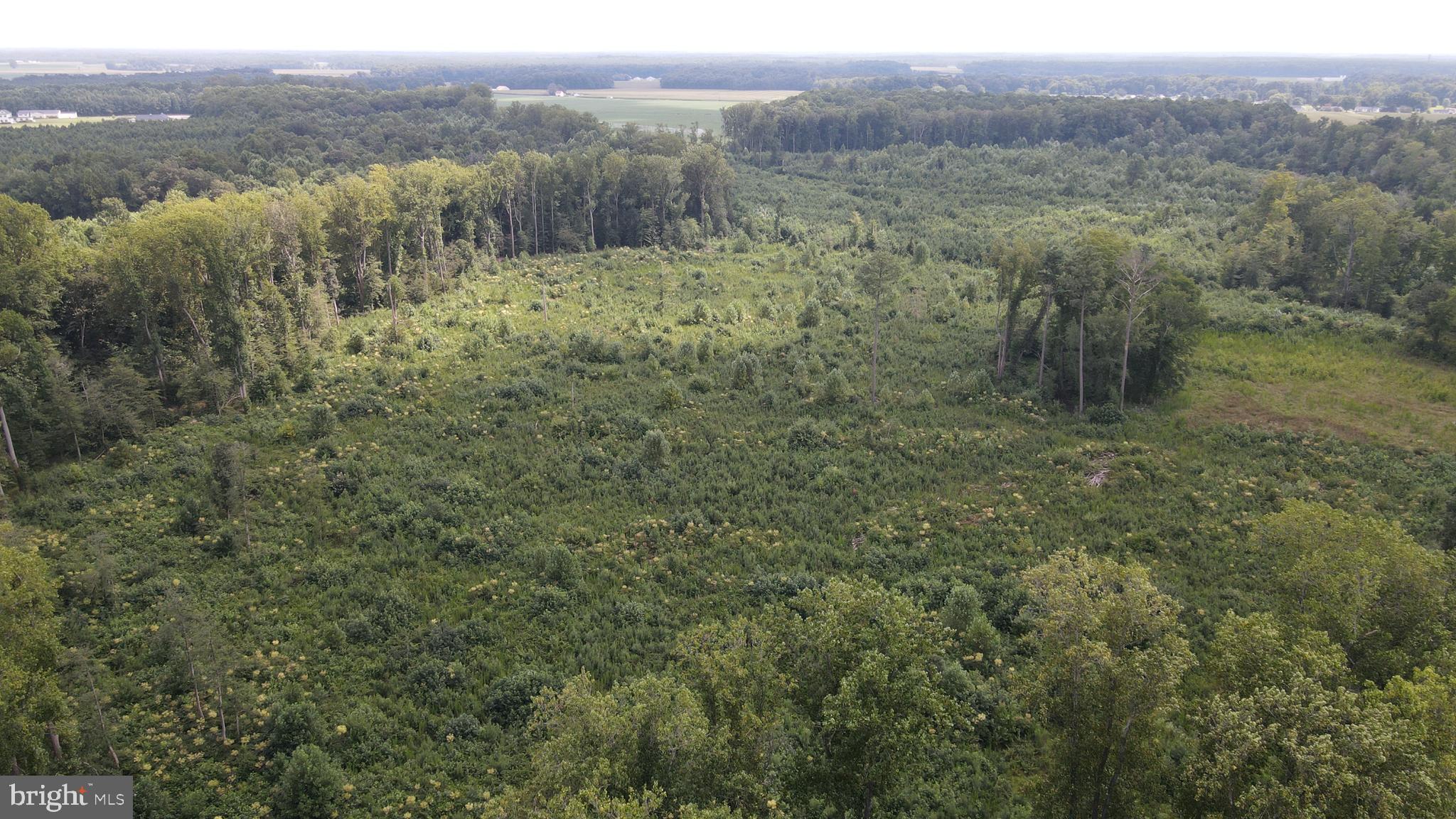 18.271 ac., Tract 5 SHORTLY RD.