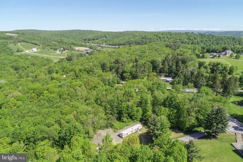 1011 TEETS ROAD FRIENDSVILLE MD 21531