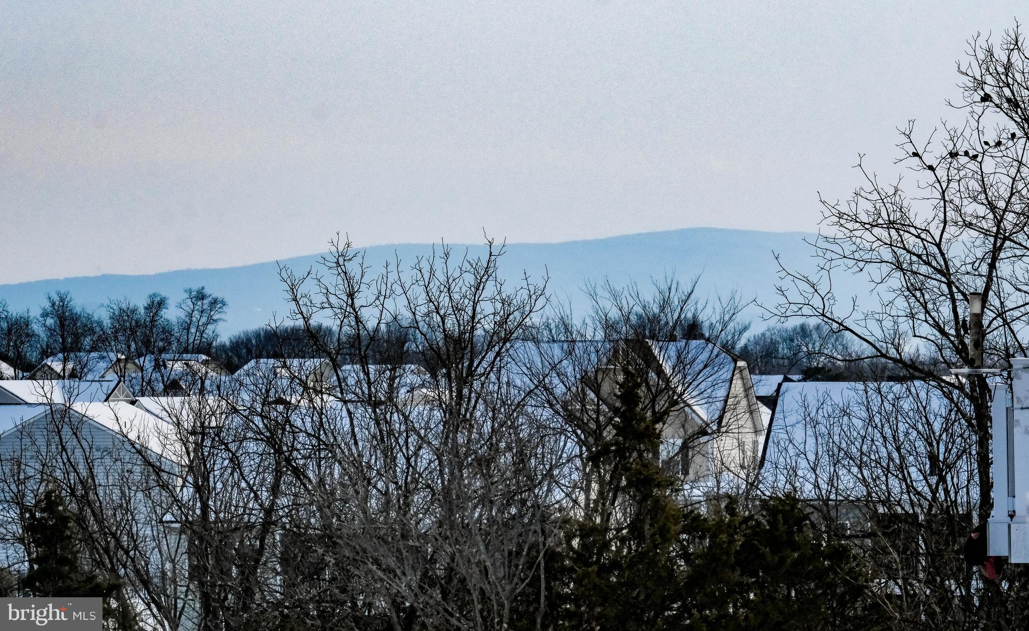 LAKE FREDERICK - Residential