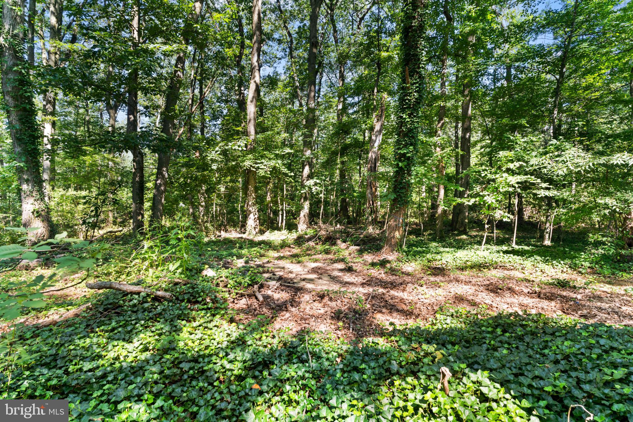 8287 PLEASANT VALLEY RD