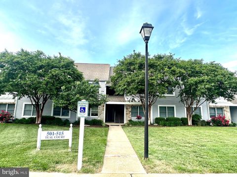 513 TEAL COURT G CHESTER MD 21619