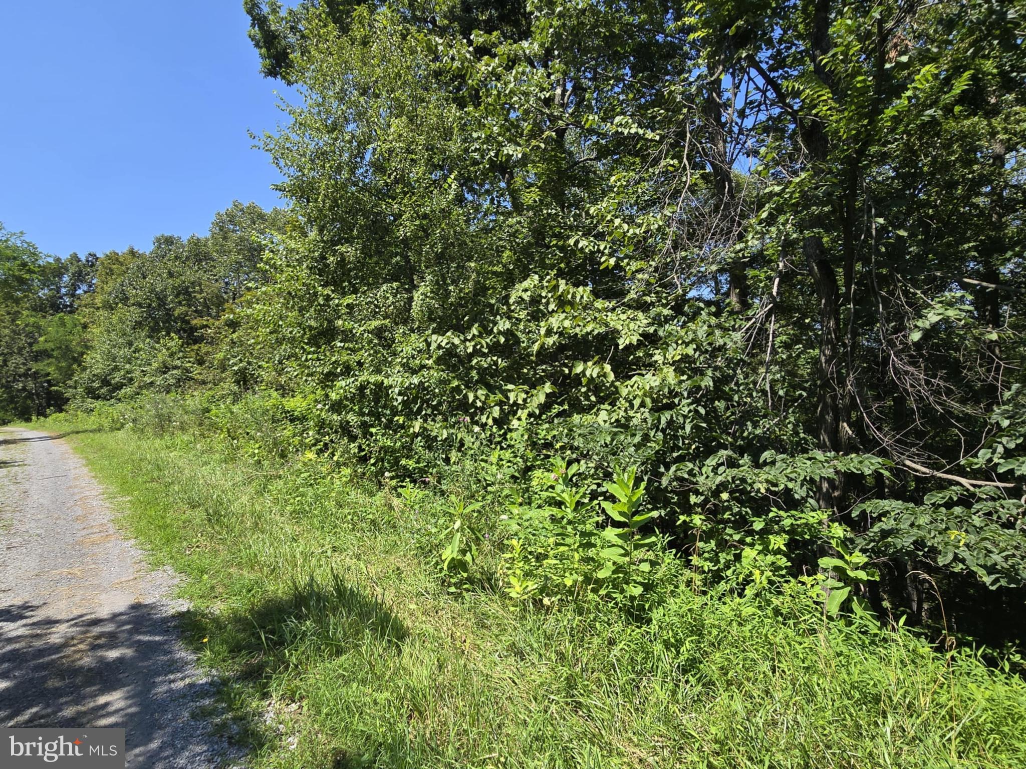 BLACKTHORN MOUNTAIN ESTATE - Land