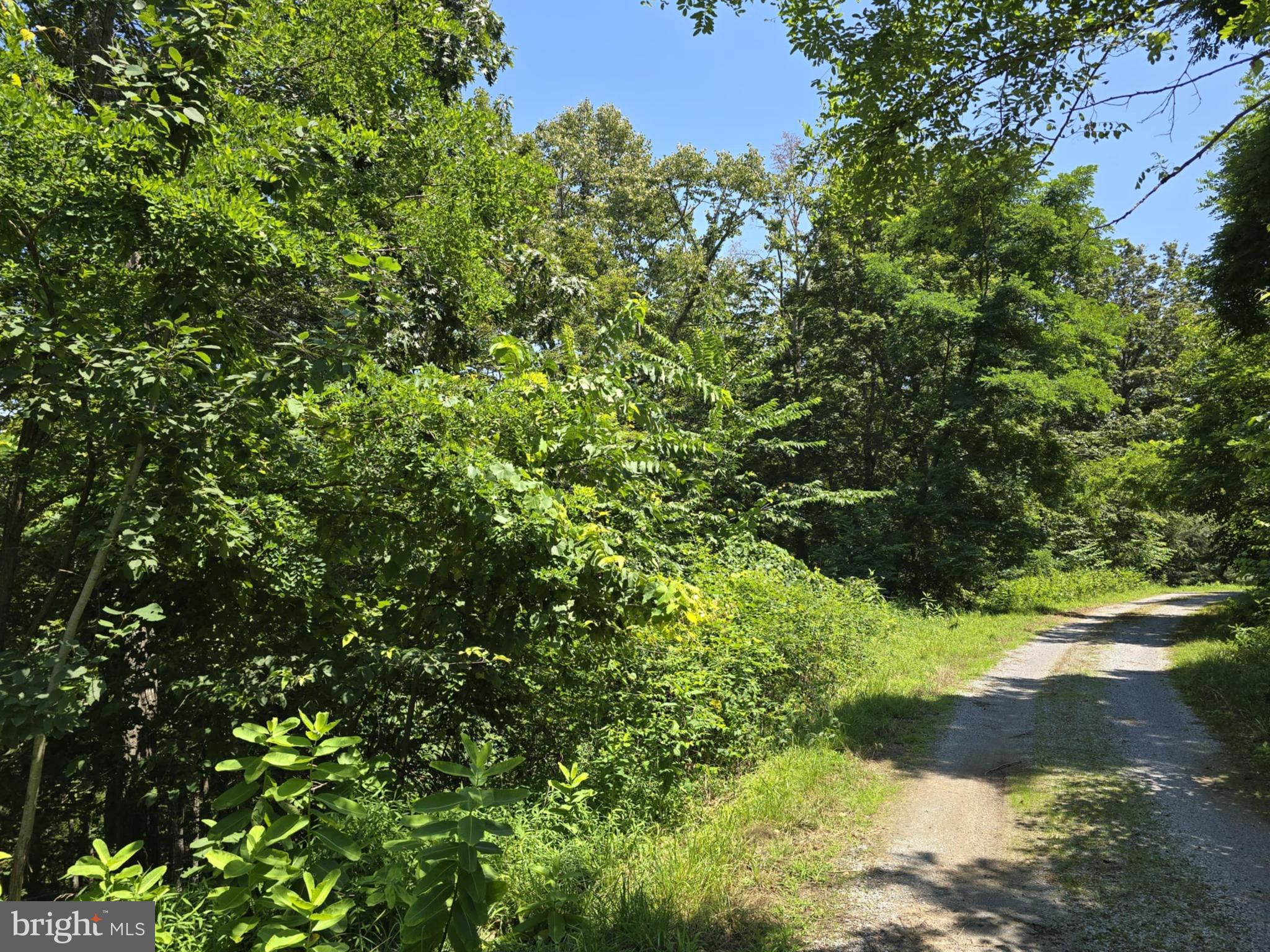 BLACKTHORN MOUNTAIN ESTATE - Land