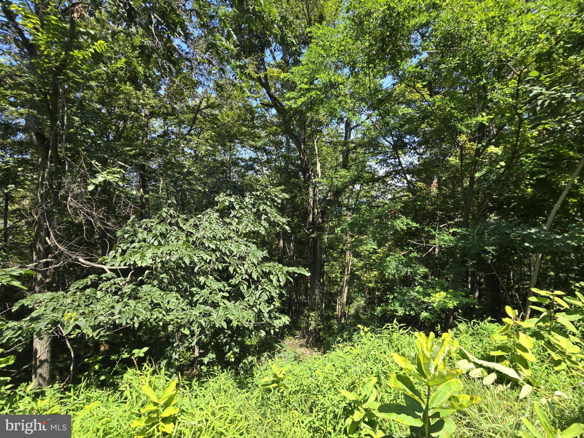 BLACKTHORN MOUNTAIN ESTATE - Land