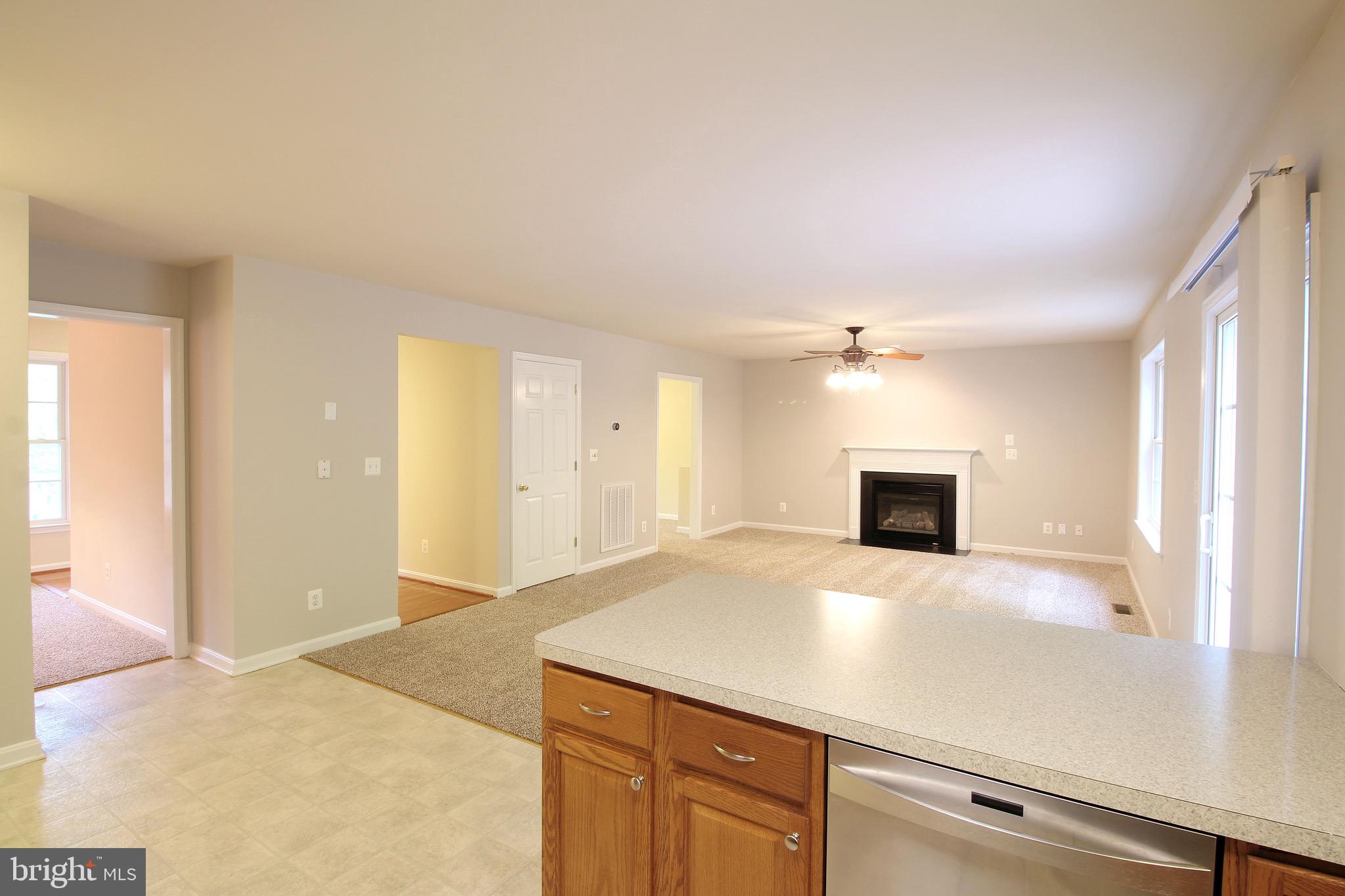 PRESIDENTIAL LAKES - Residential