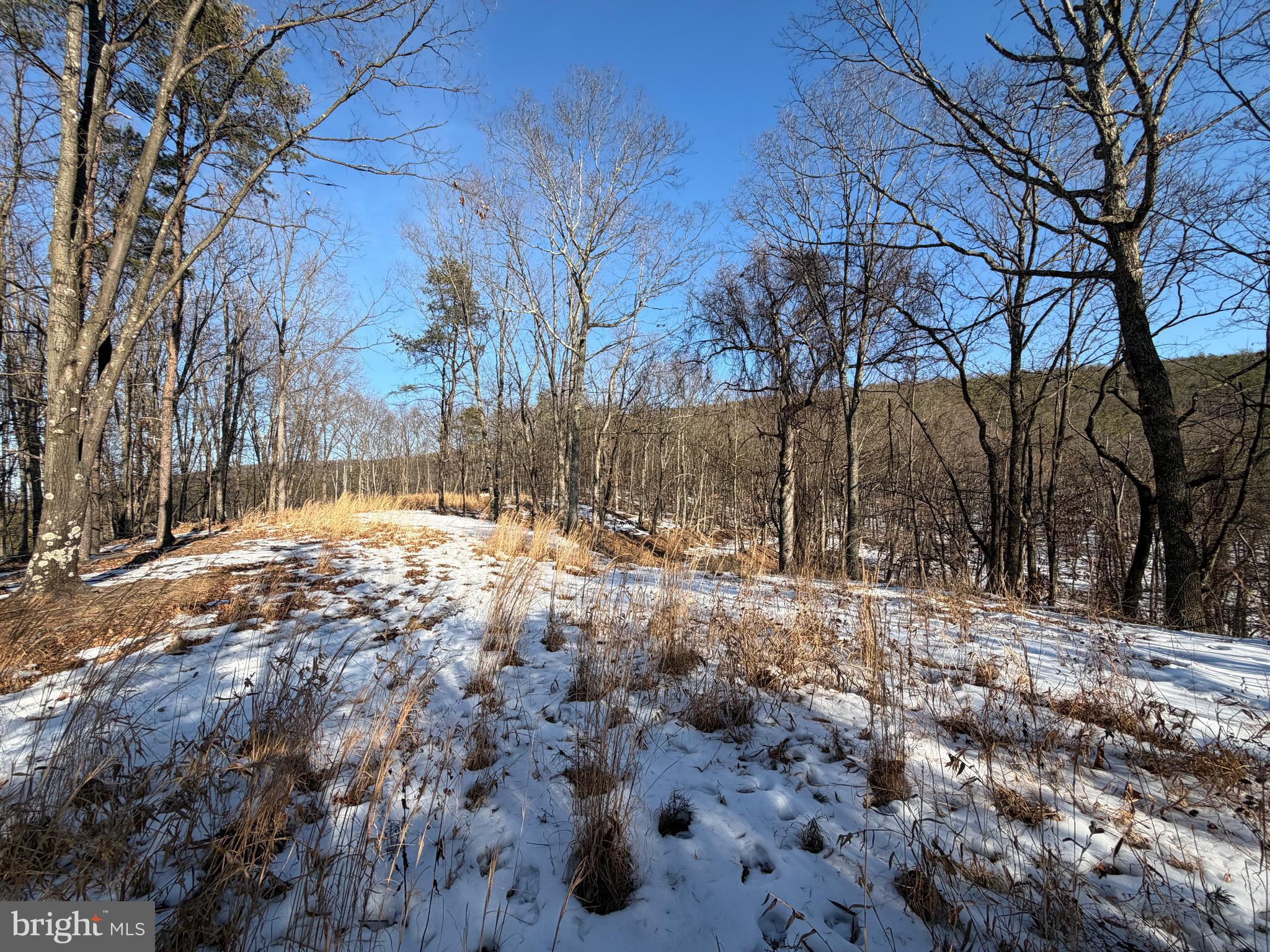 RIDGES AT SOUTH BRANCH - Land