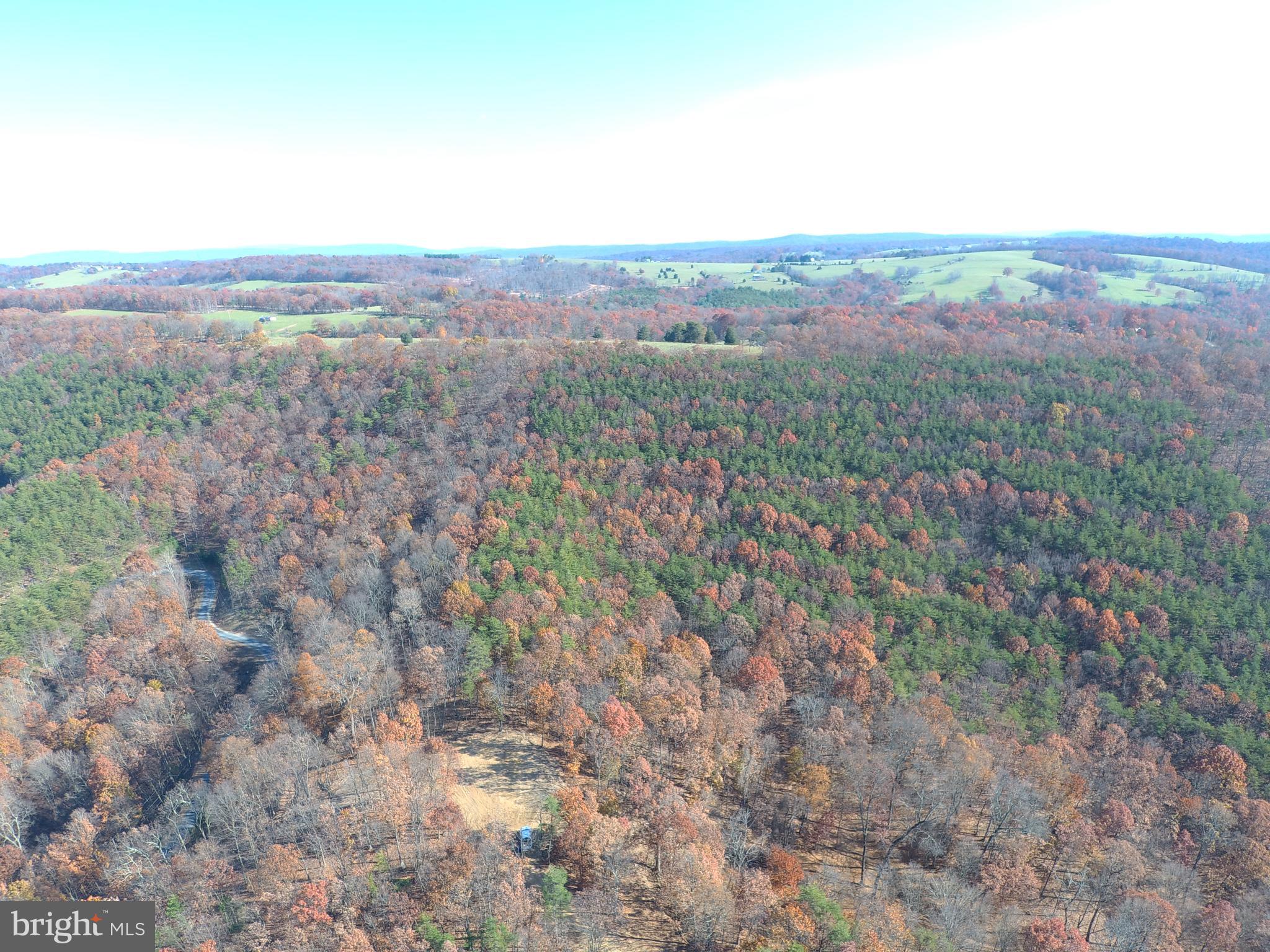 RIDGES AT SOUTH BRANCH - Land