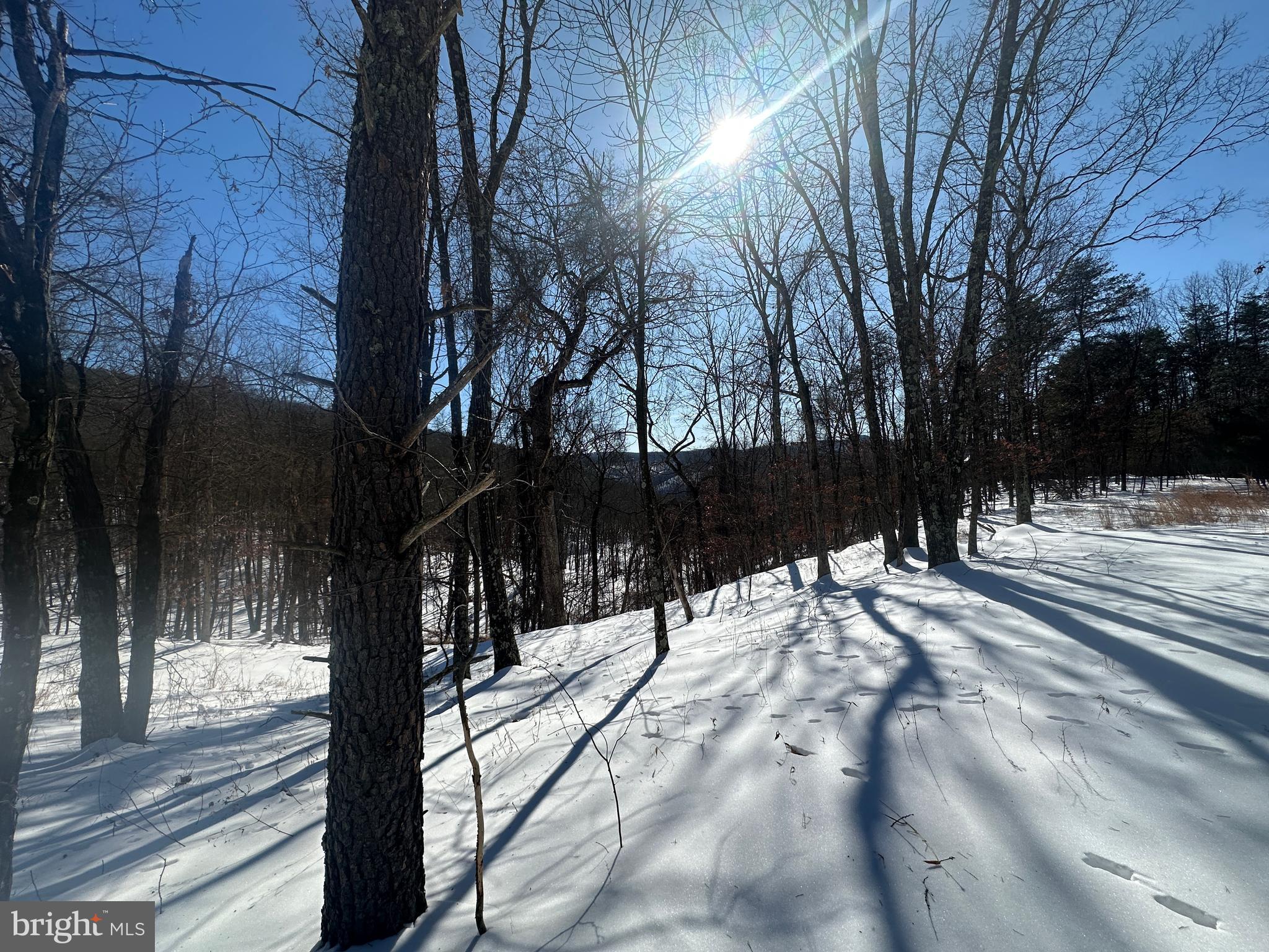 RIDGES AT SOUTH BRANCH - Land