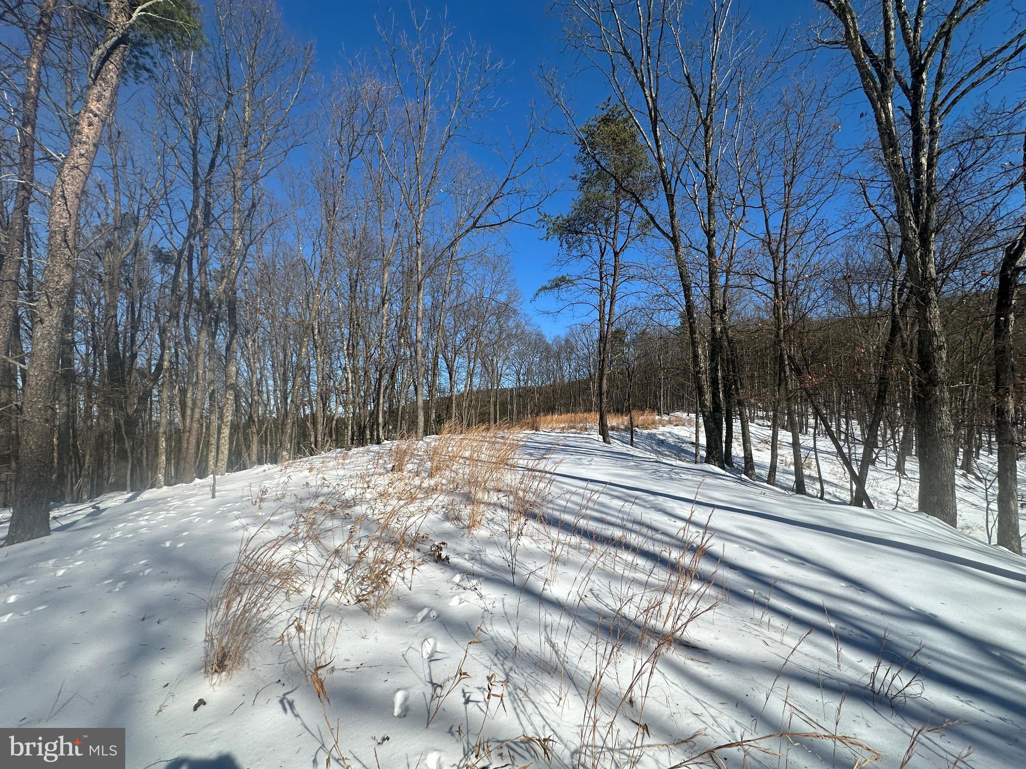 RIDGES AT SOUTH BRANCH - Land