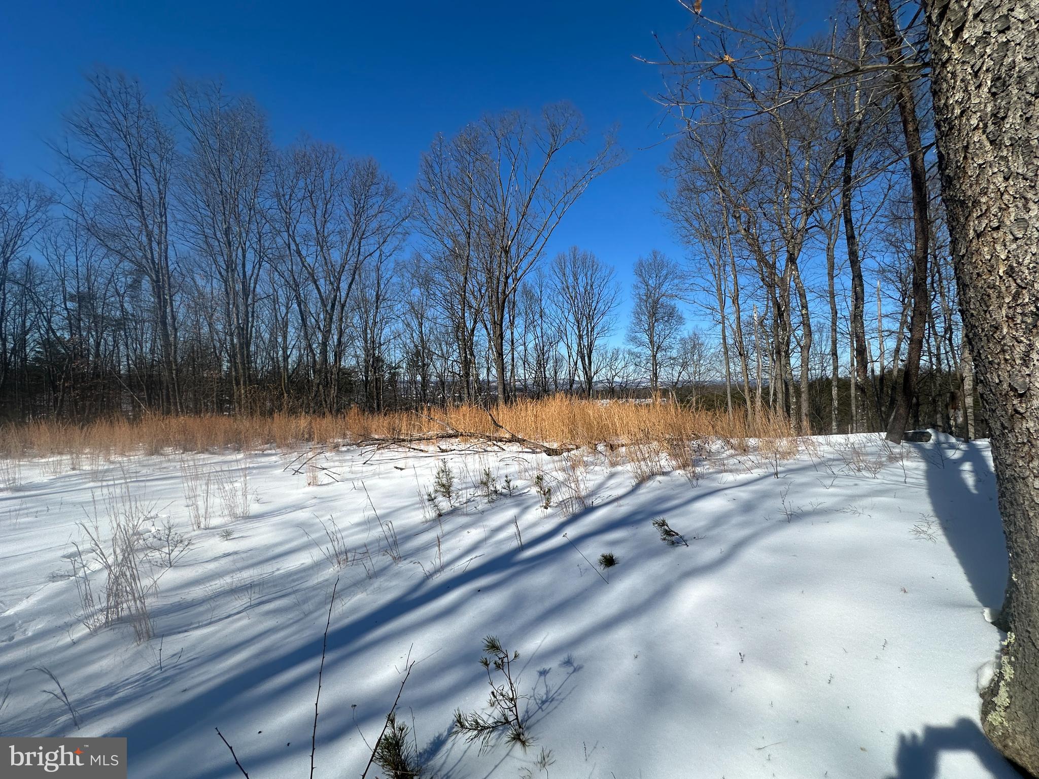 RIDGES AT SOUTH BRANCH - Land