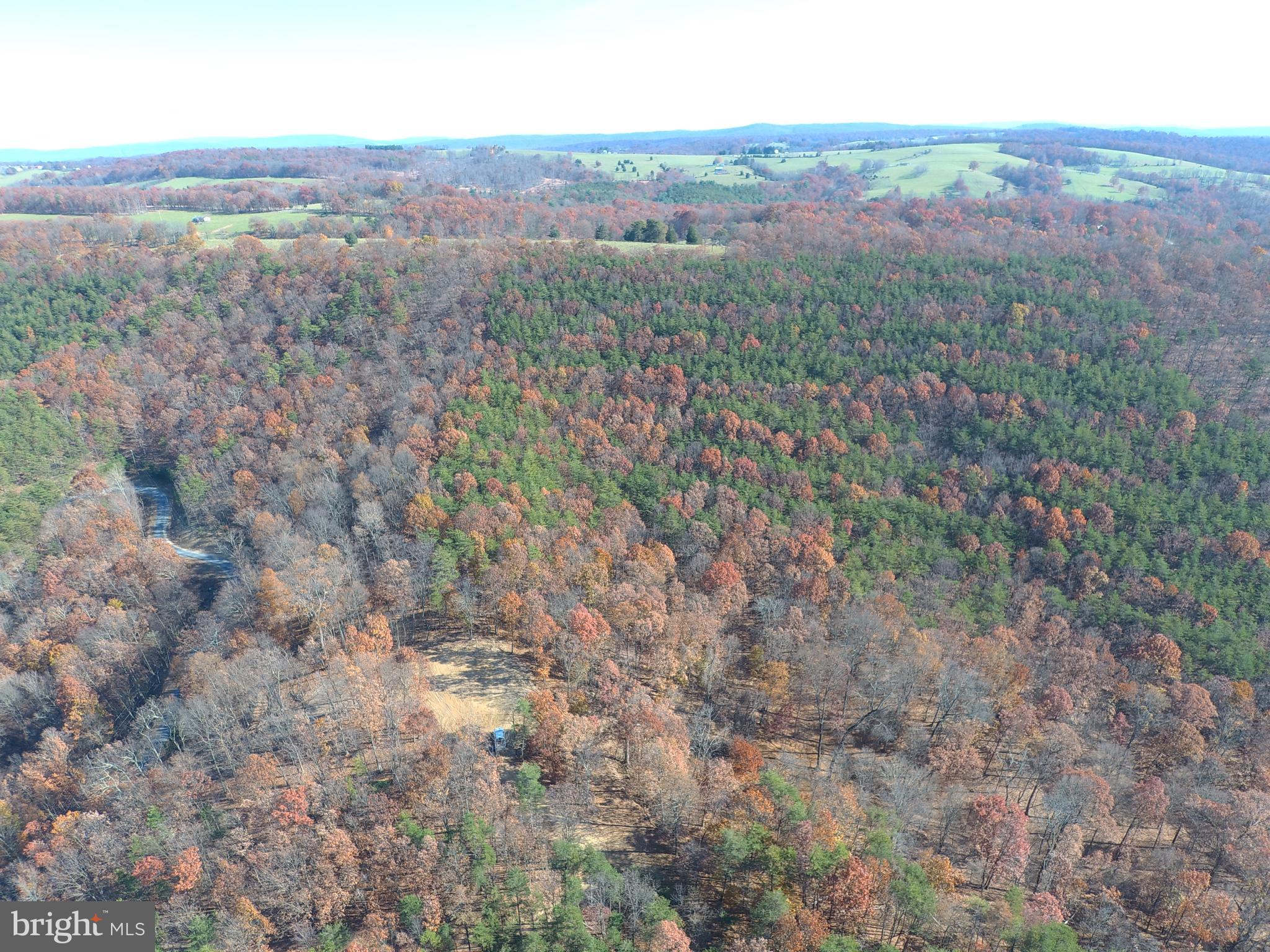 RIDGES AT SOUTH BRANCH - Land