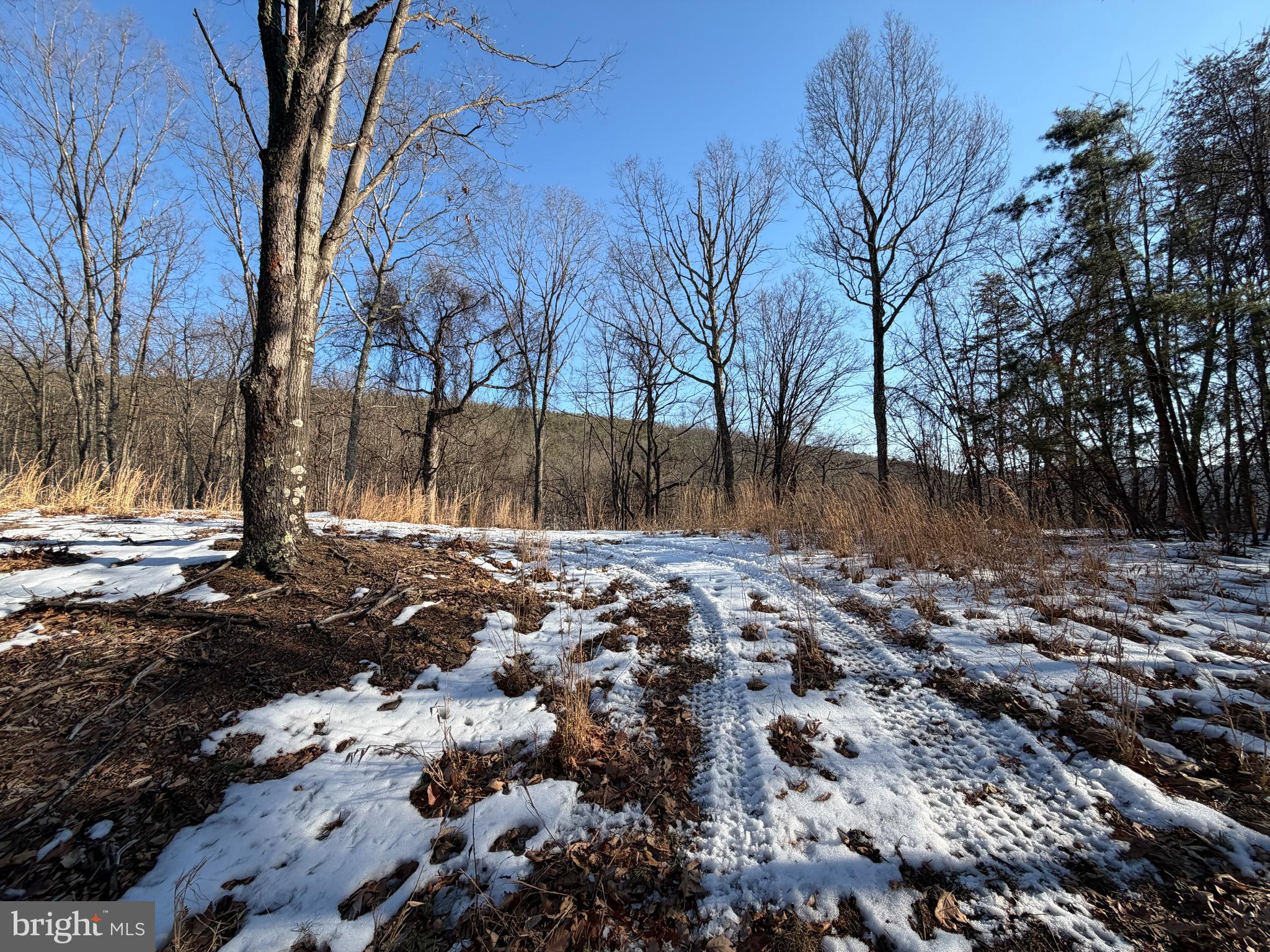 RIDGES AT SOUTH BRANCH - Land