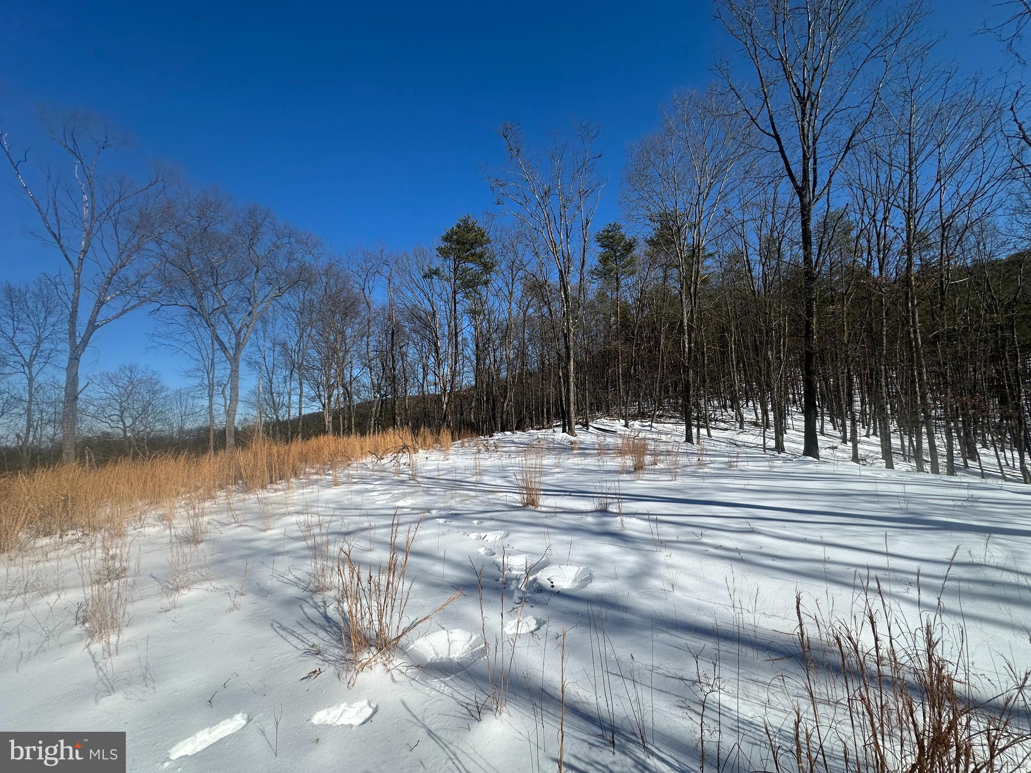 RIDGES AT SOUTH BRANCH - Land