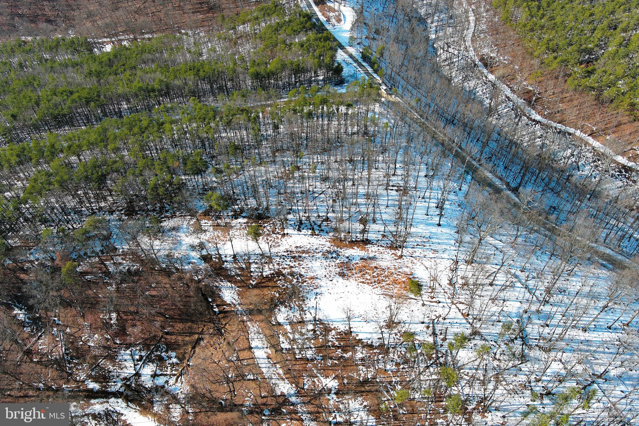 RIDGES AT SOUTH BRANCH - Land