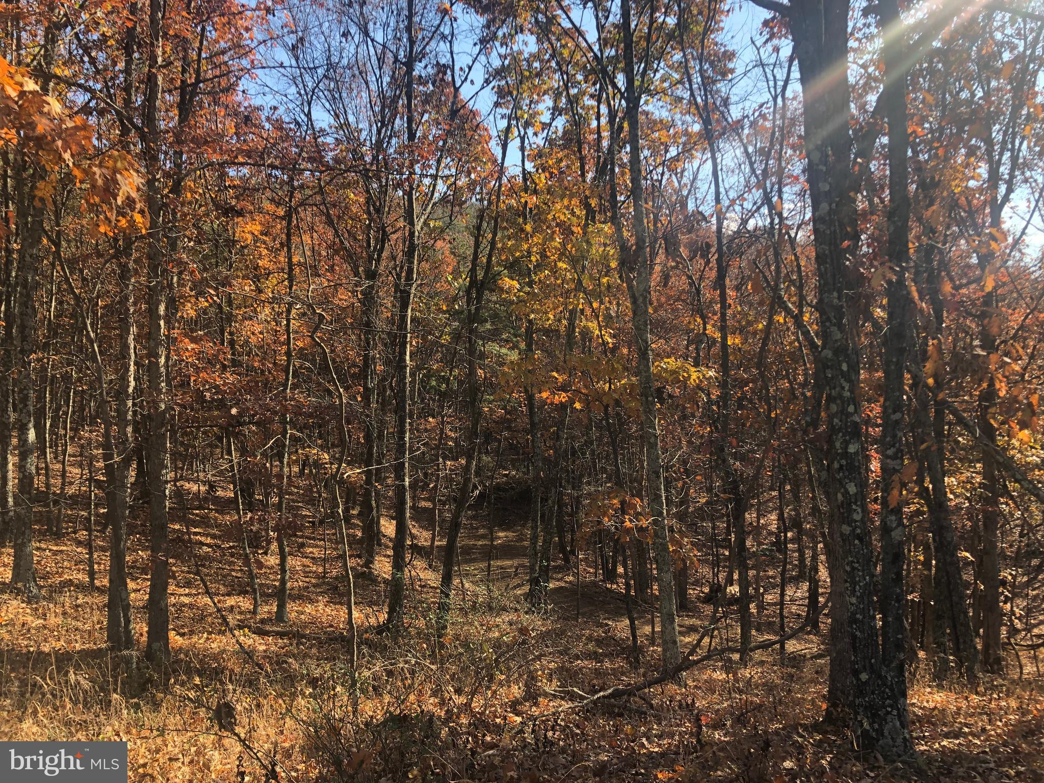 RIDGES AT SOUTH BRANCH - Land