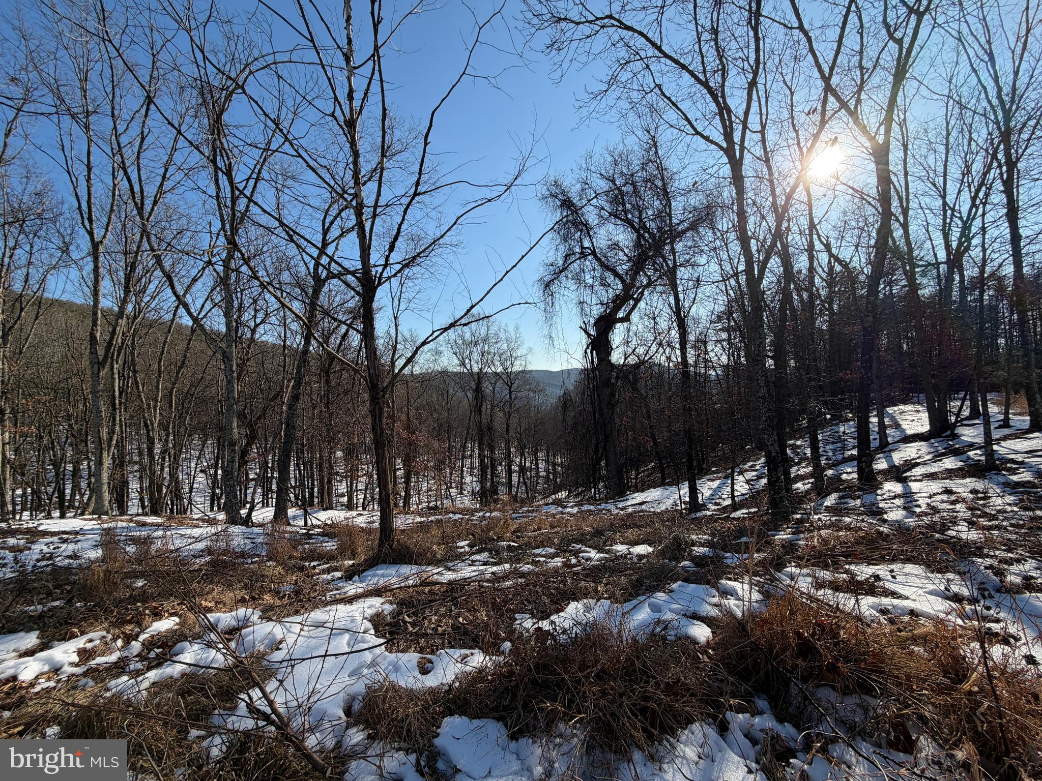 RIDGES AT SOUTH BRANCH - Land