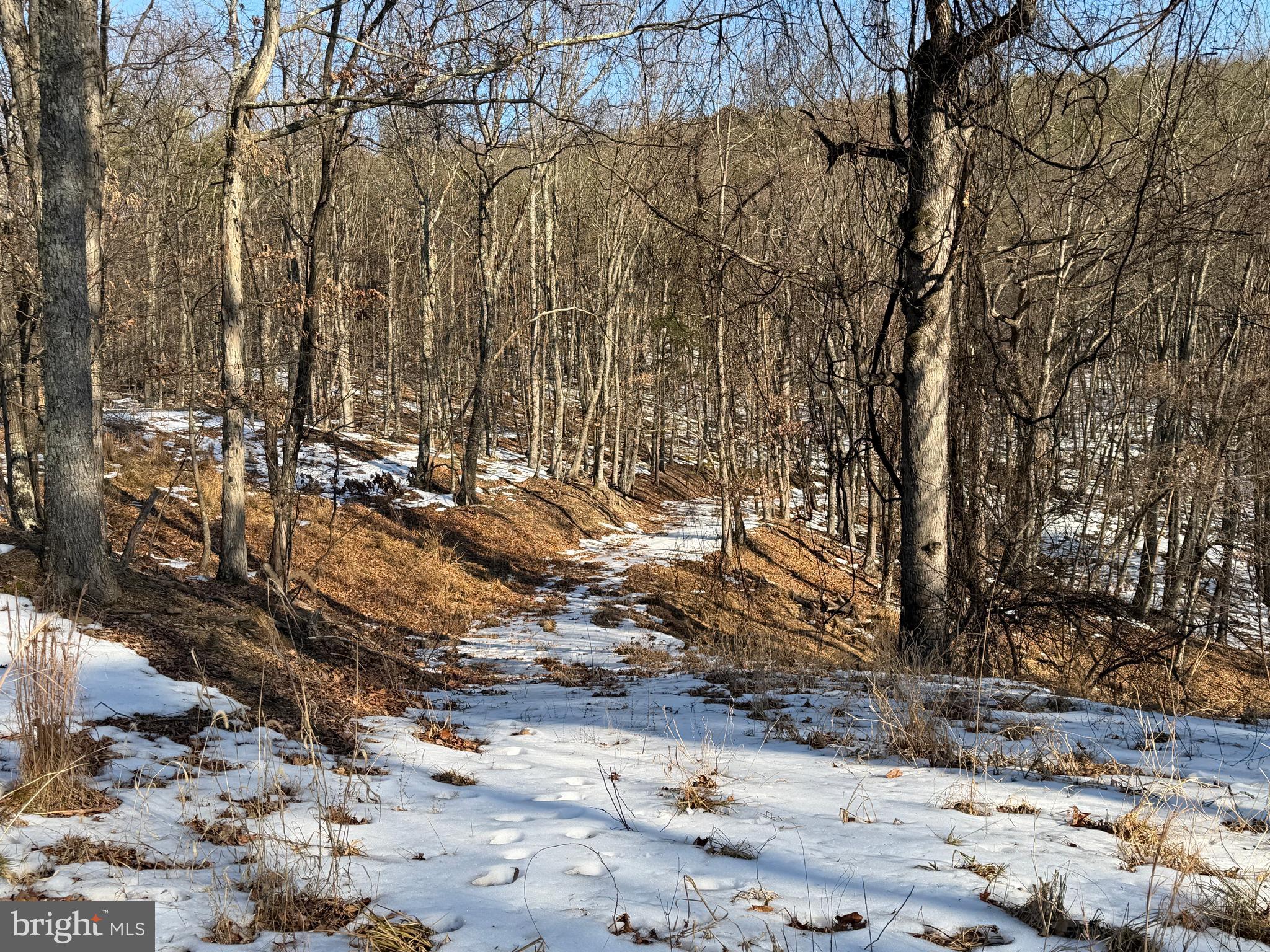 RIDGES AT SOUTH BRANCH - Land