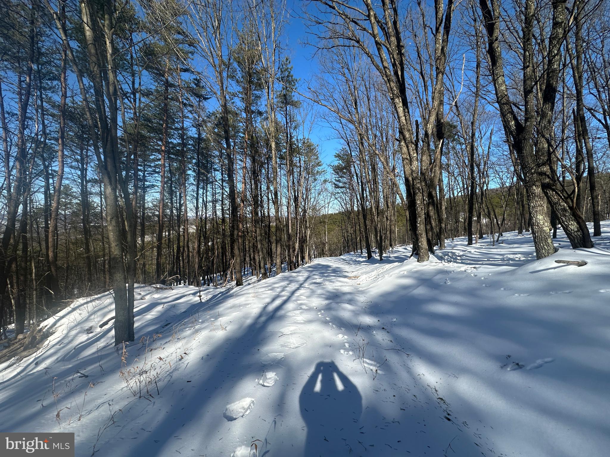 RIDGES AT SOUTH BRANCH - Land