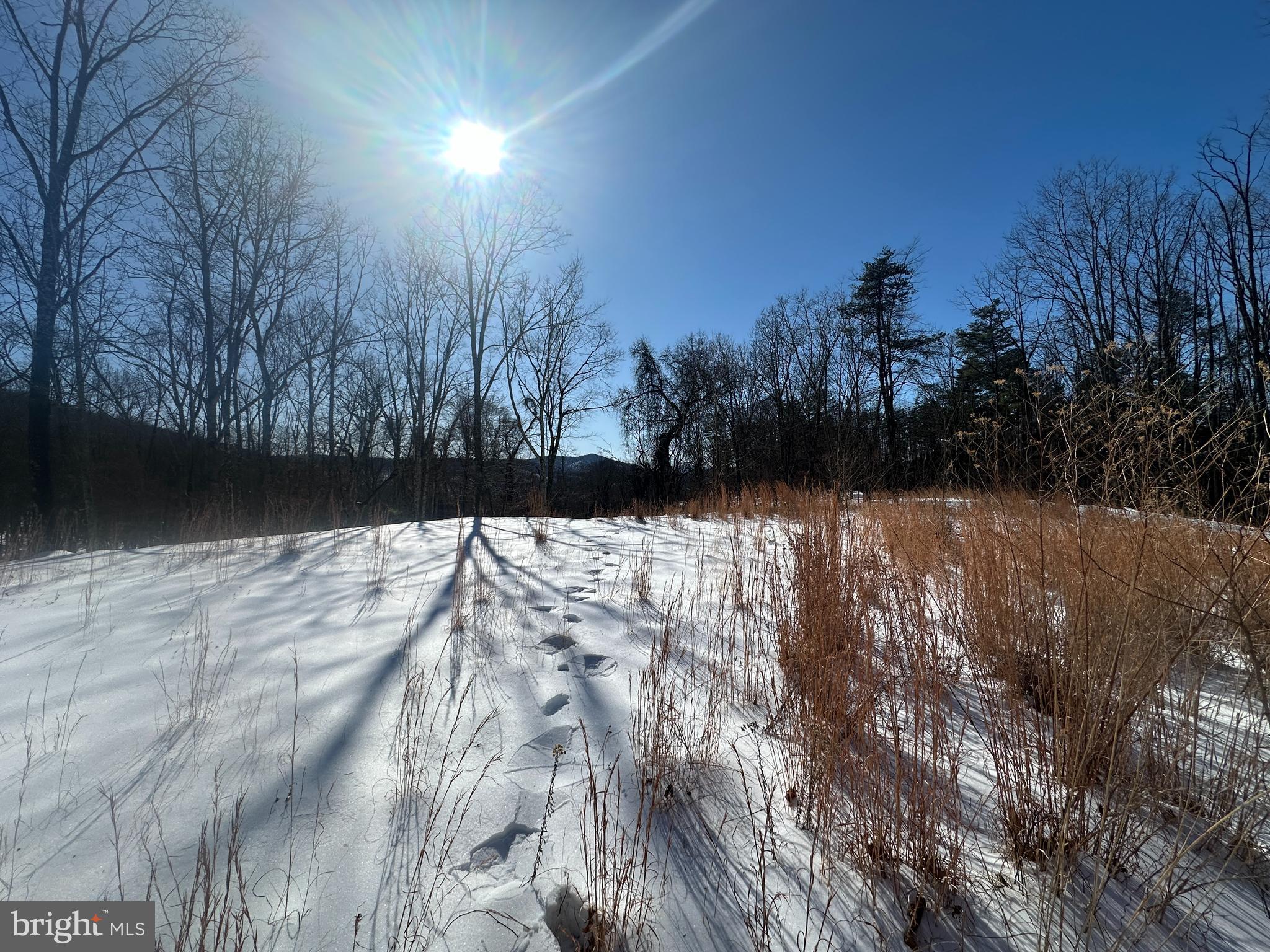 RIDGES AT SOUTH BRANCH - Land