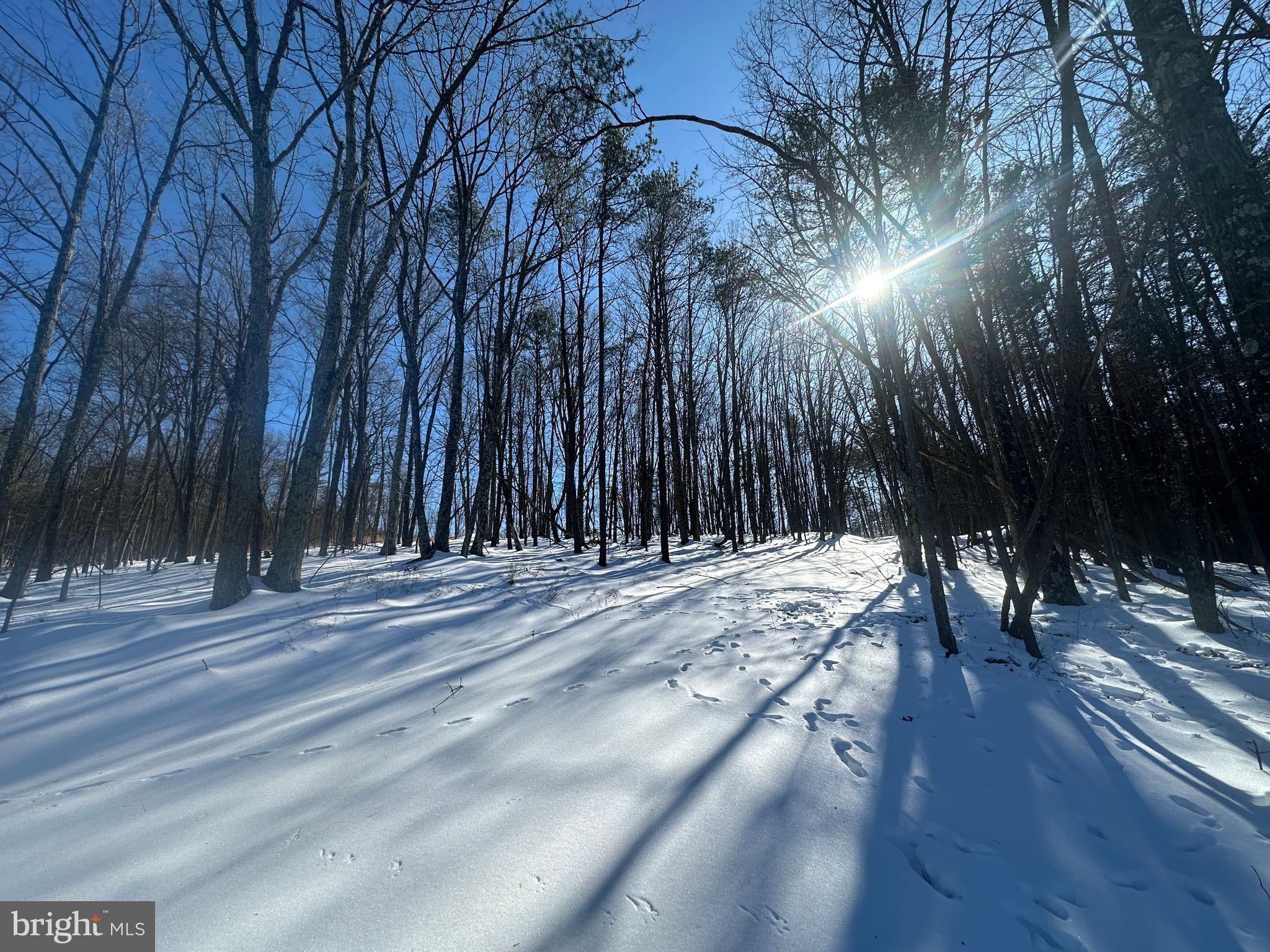 RIDGES AT SOUTH BRANCH - Land