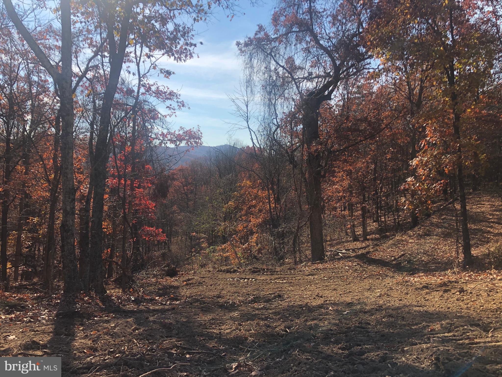 RIDGES AT SOUTH BRANCH - Land