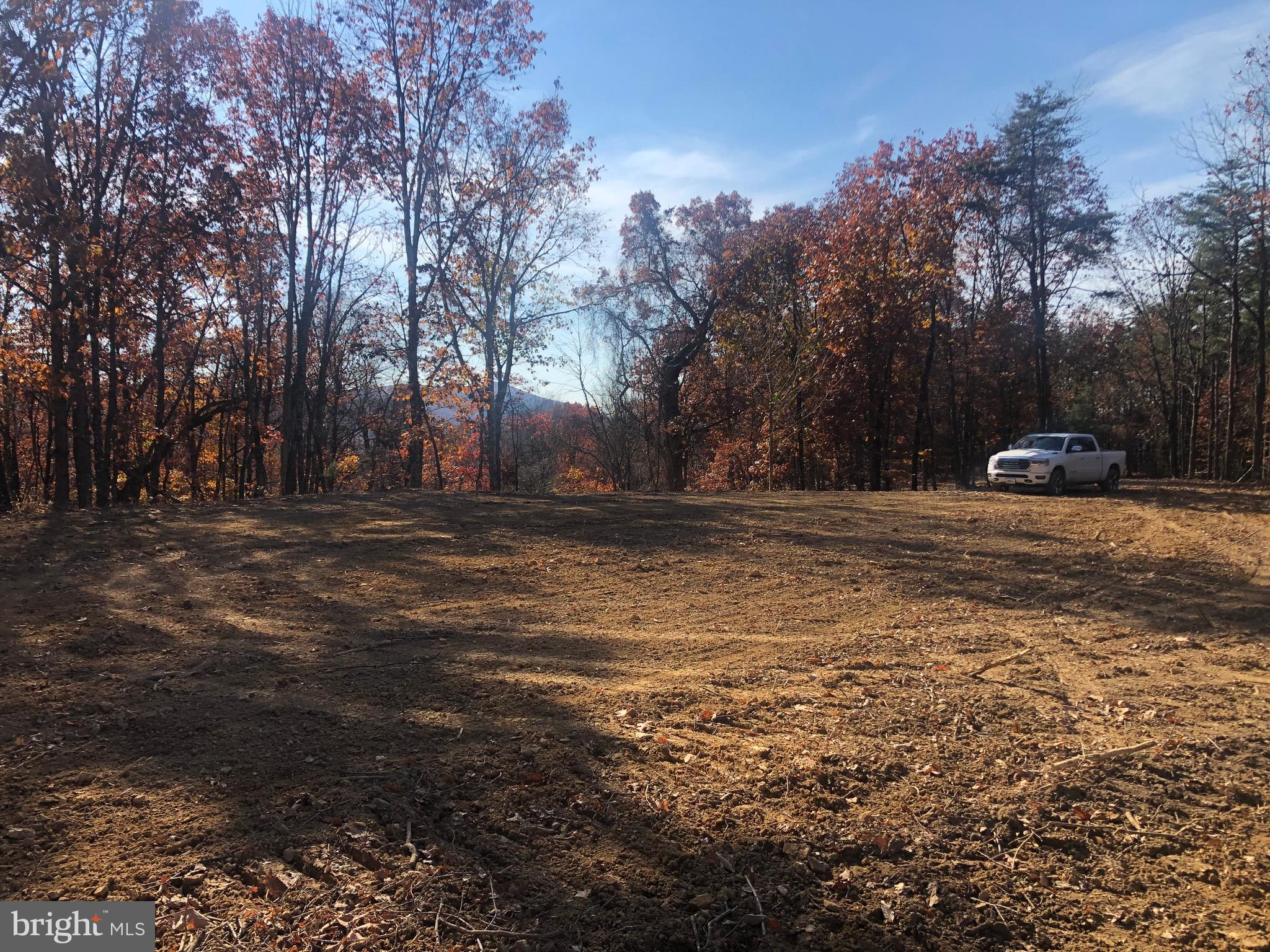 RIDGES AT SOUTH BRANCH - Land