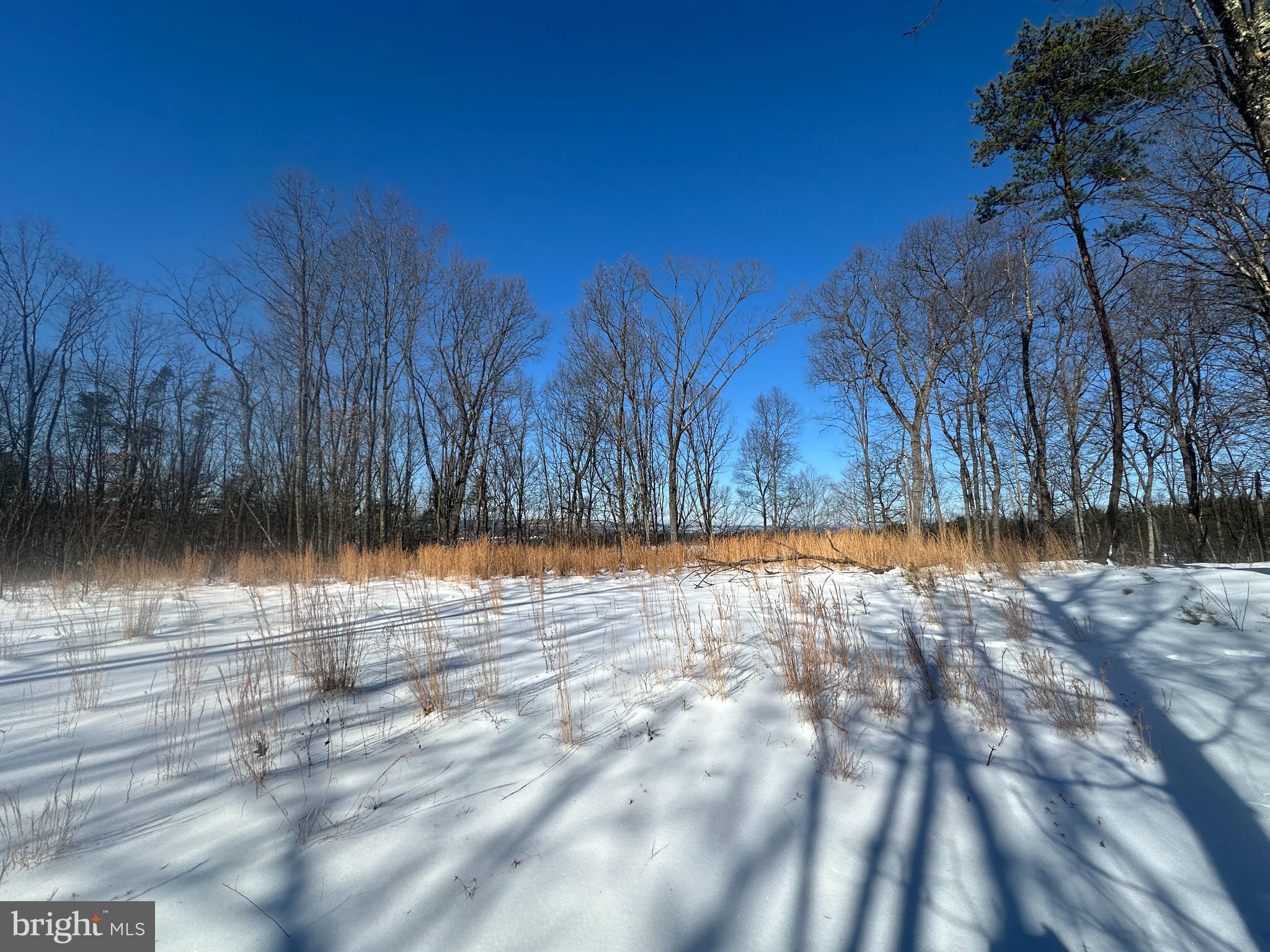 RIDGES AT SOUTH BRANCH - Land