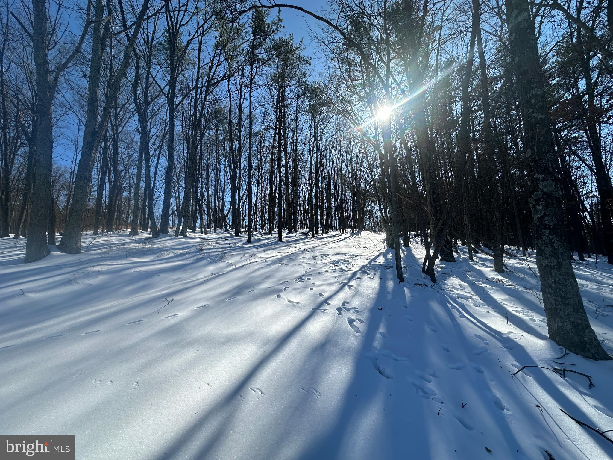 RIDGES AT SOUTH BRANCH - Land