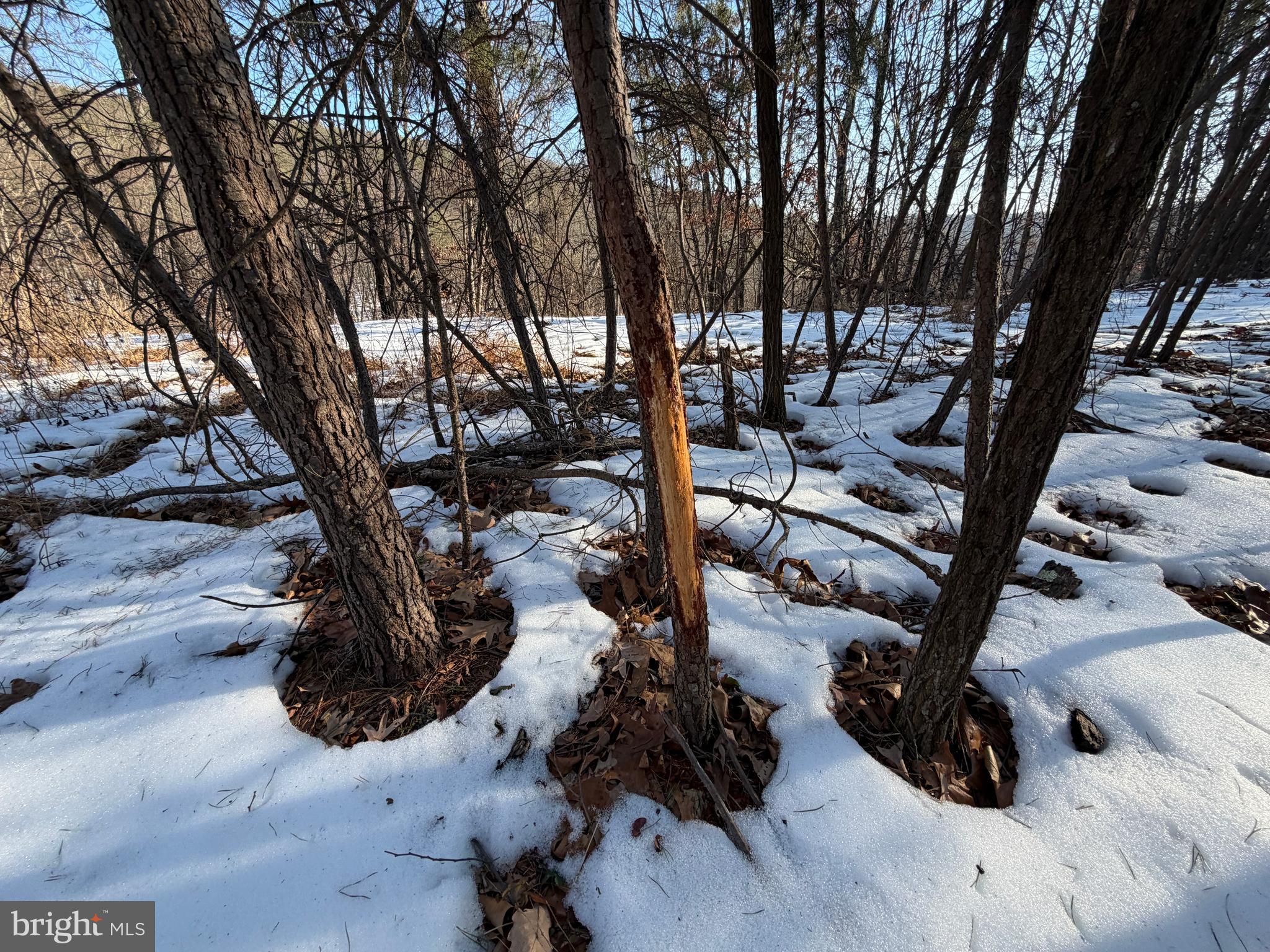 RIDGES AT SOUTH BRANCH - Land