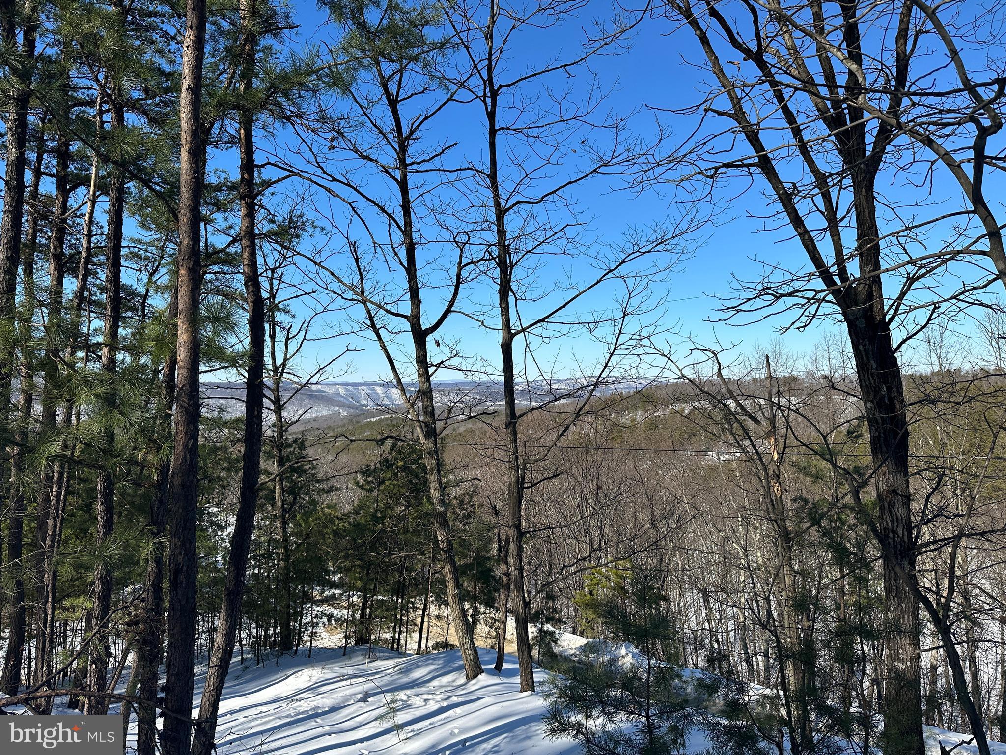 RIDGES AT SOUTH BRANCH - Land