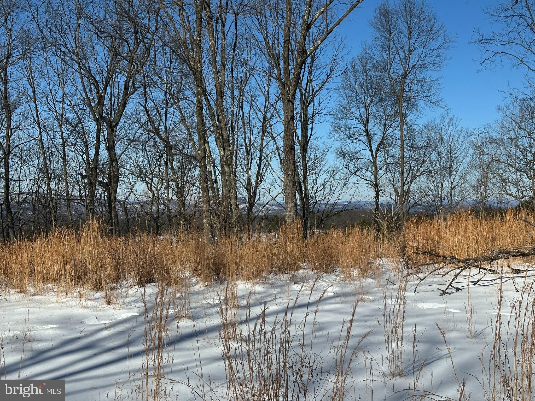 RIDGES AT SOUTH BRANCH - Land
