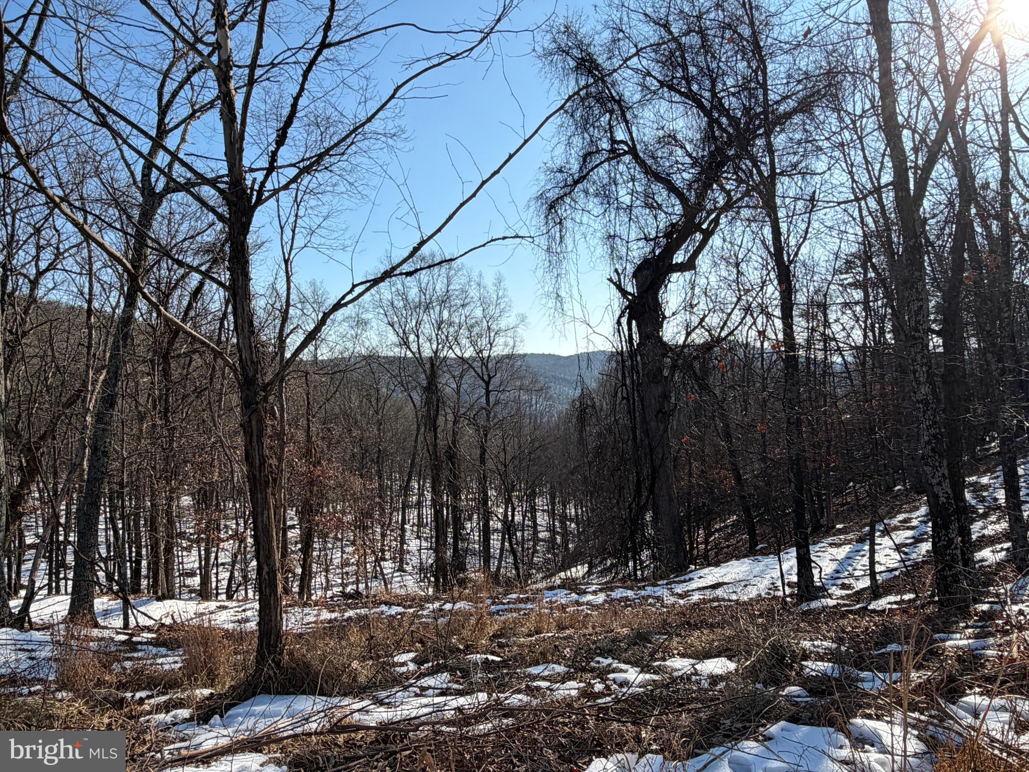 RIDGES AT SOUTH BRANCH - Land