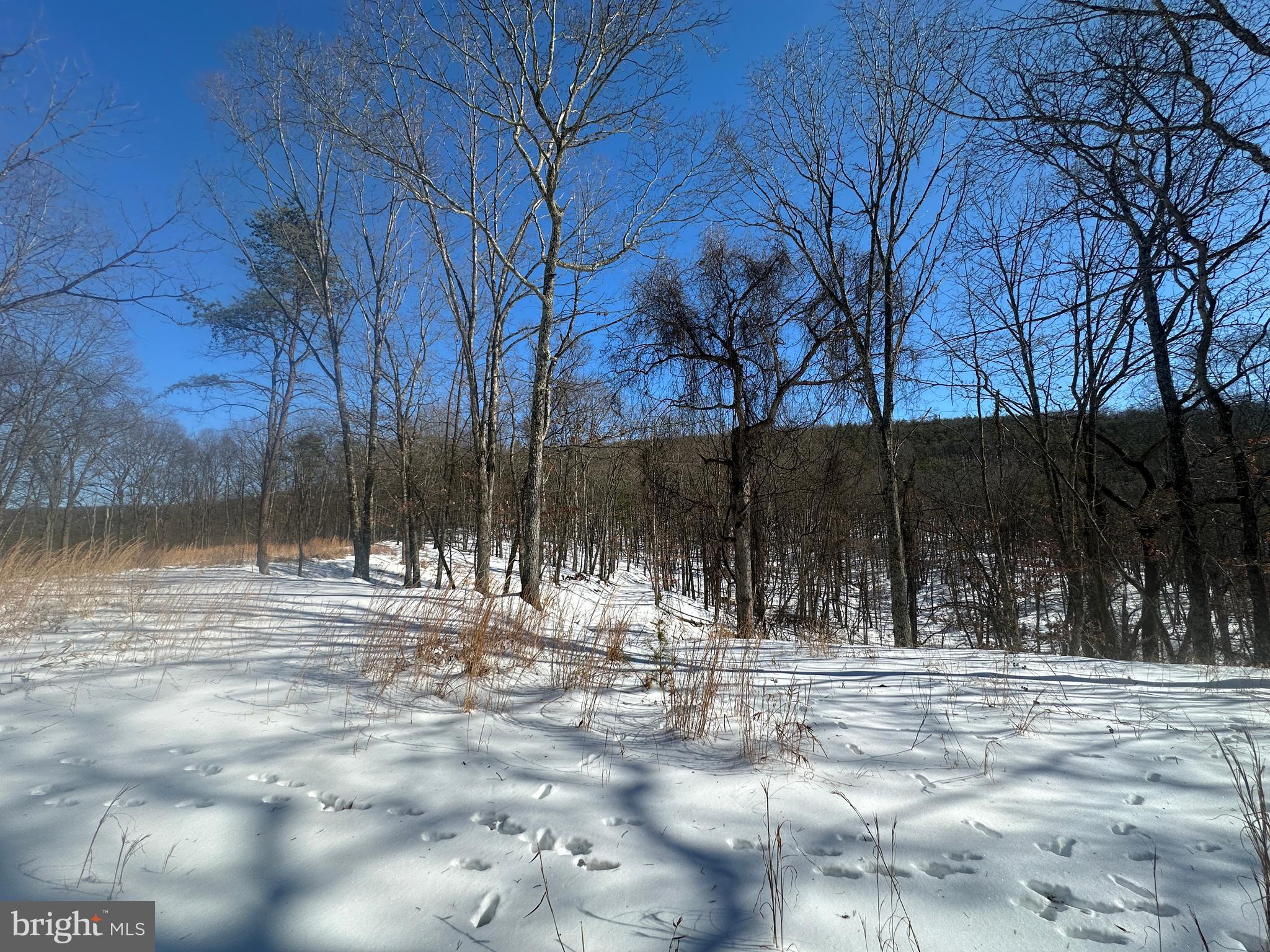 RIDGES AT SOUTH BRANCH - Land