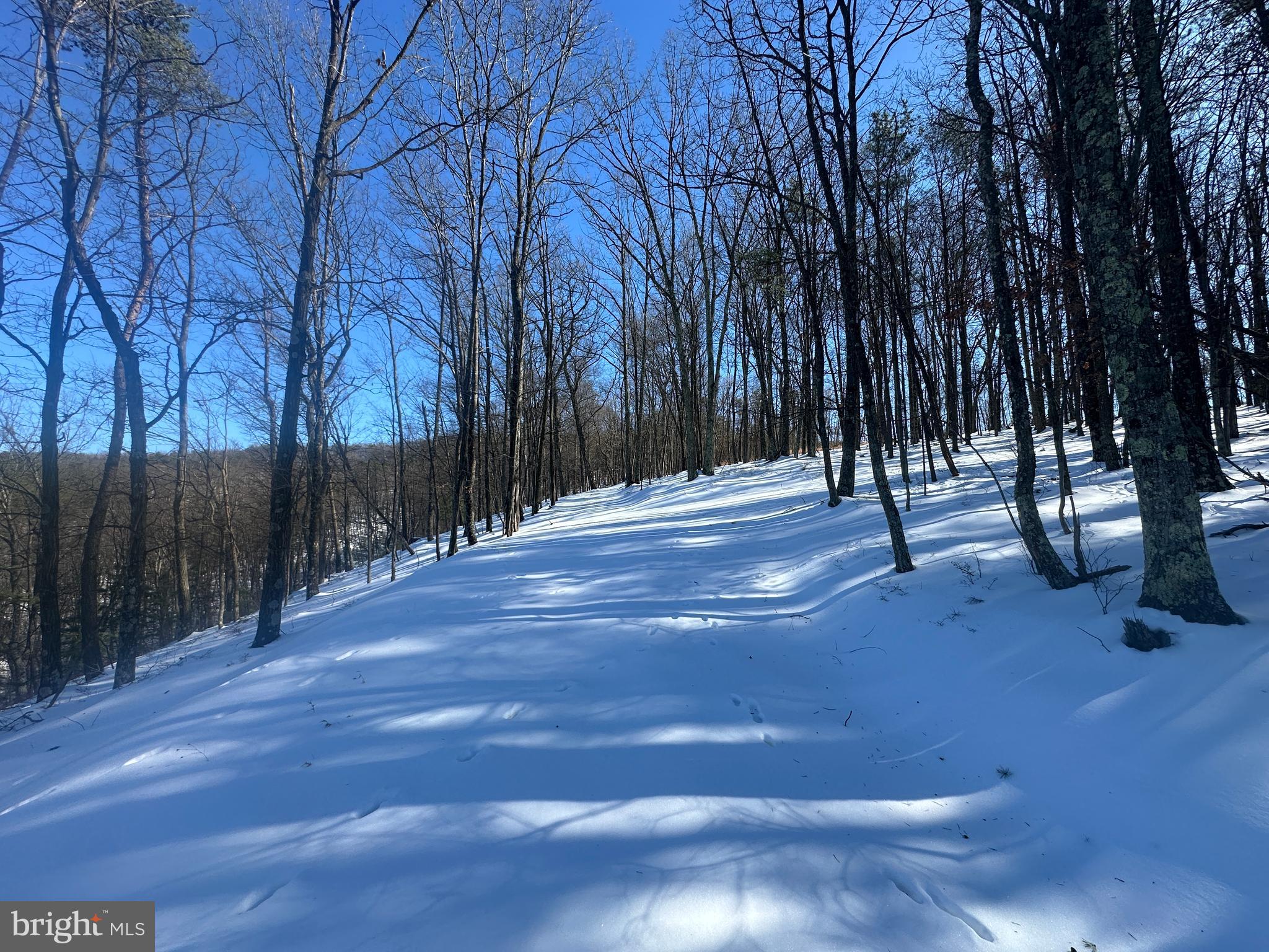 RIDGES AT SOUTH BRANCH - Land