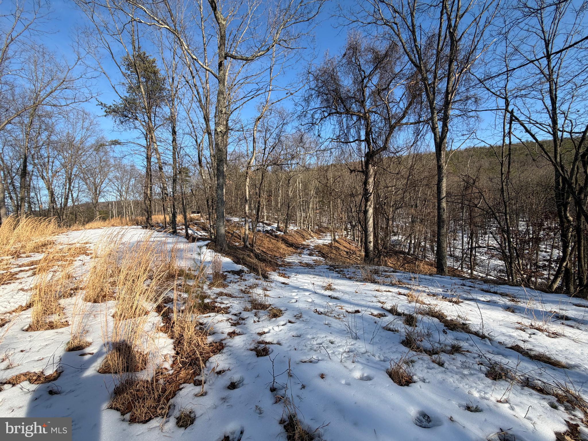RIDGES AT SOUTH BRANCH - Land