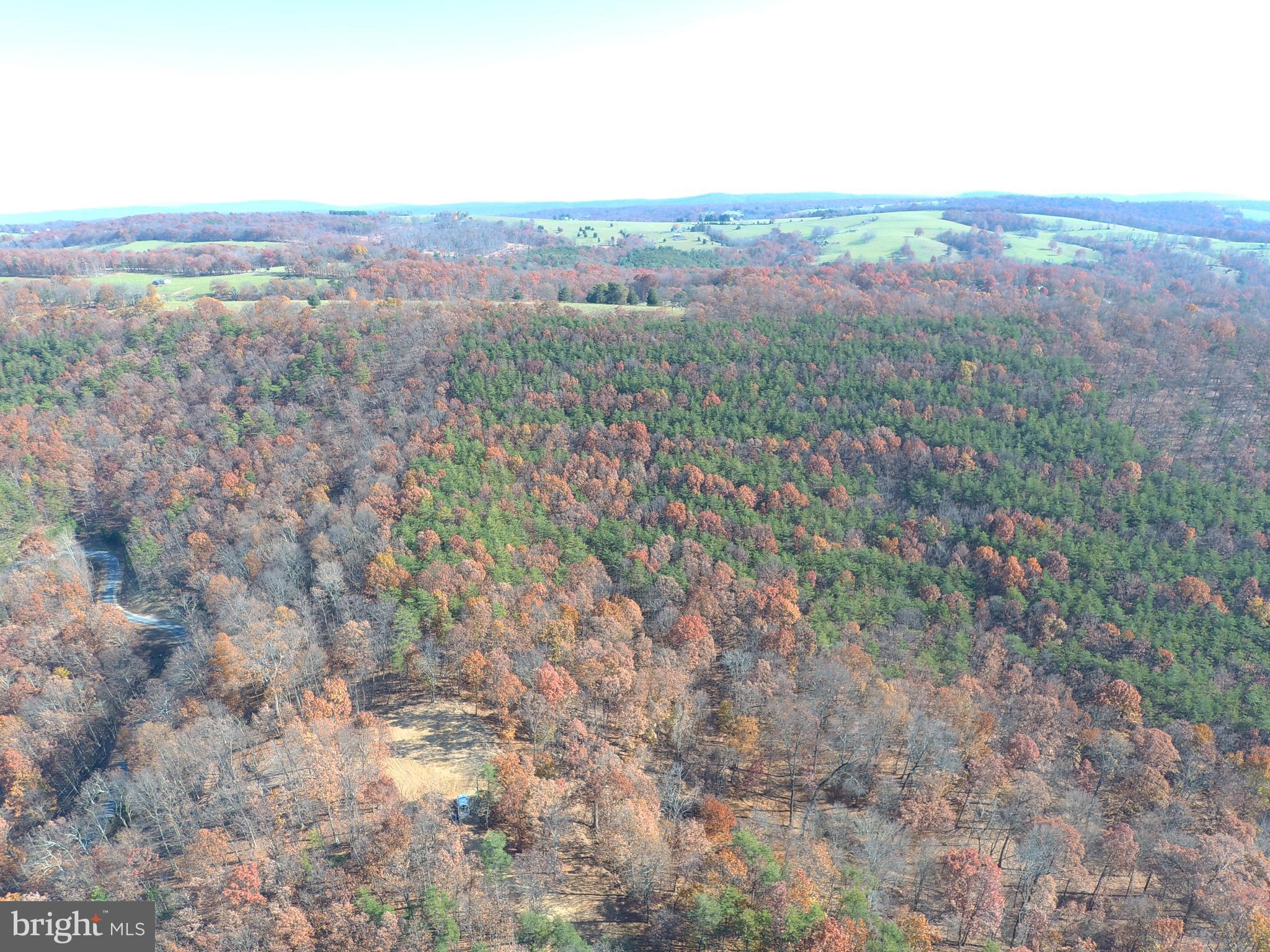 RIDGES AT SOUTH BRANCH - Land