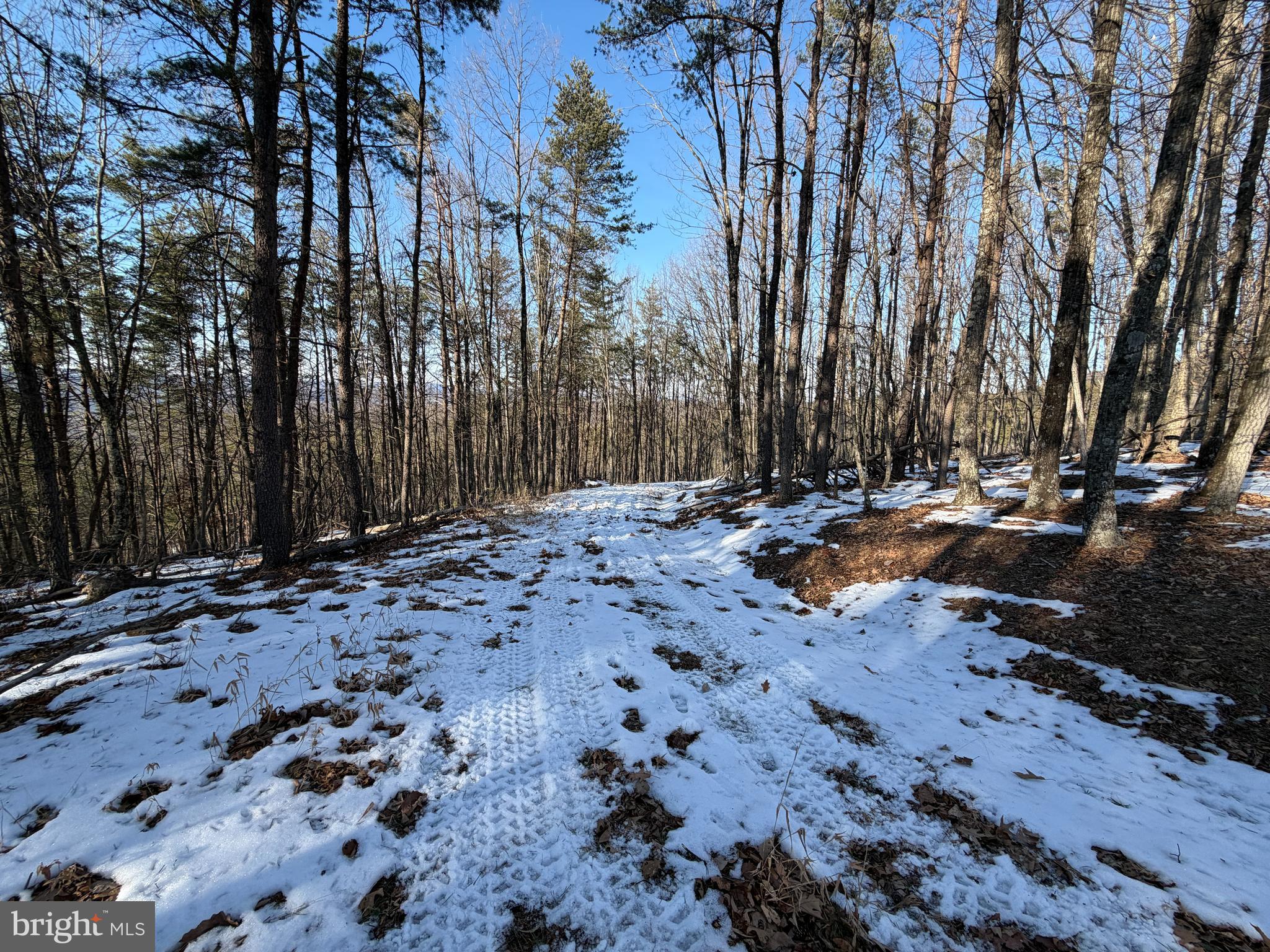 RIDGES AT SOUTH BRANCH - Land