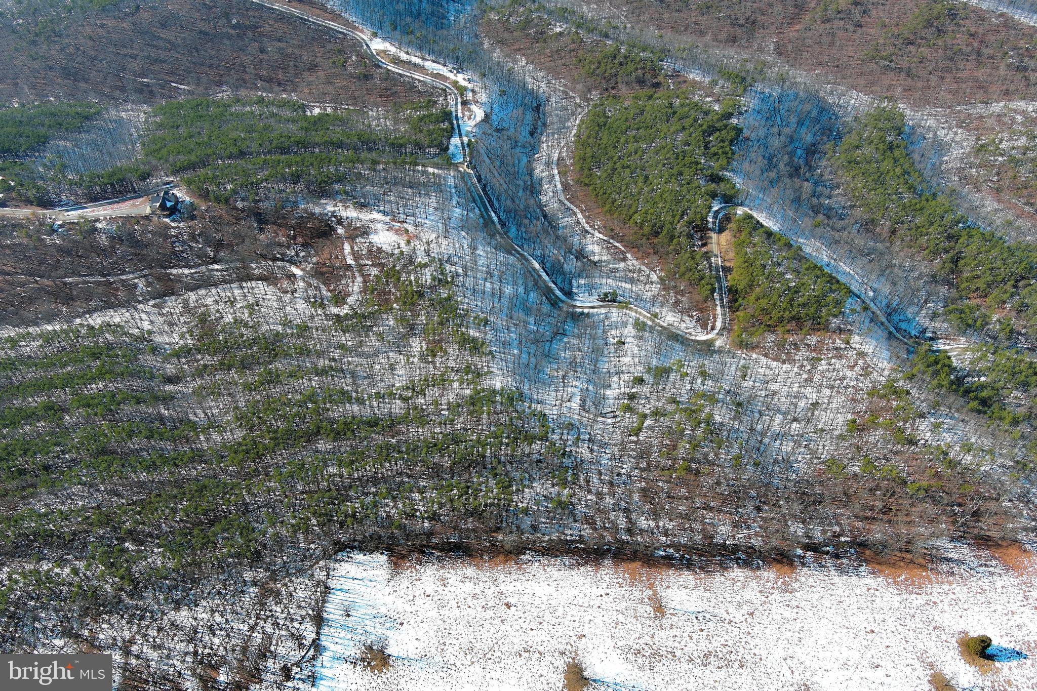 RIDGES AT SOUTH BRANCH - Land